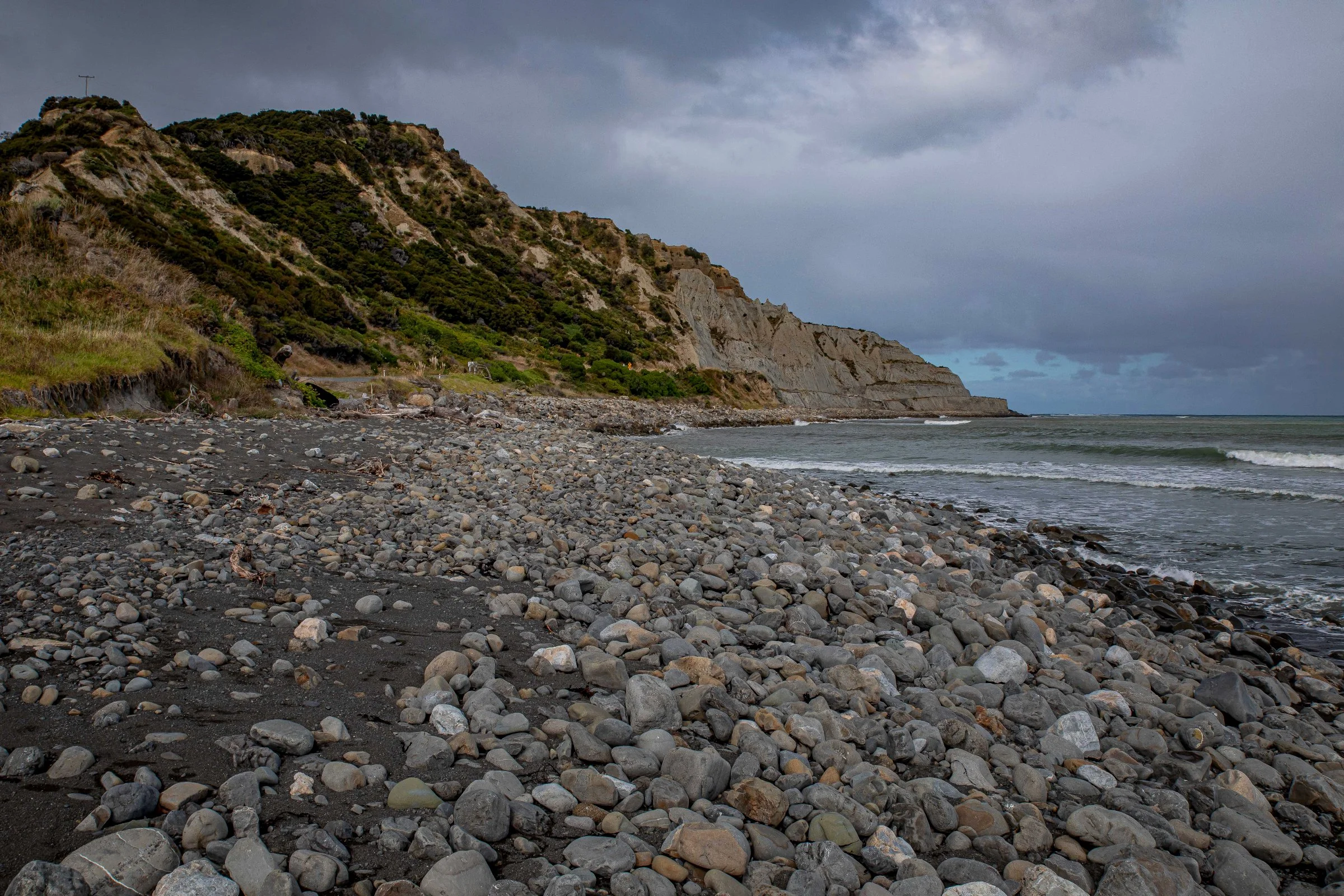 Palliser Bay,-551.JPG