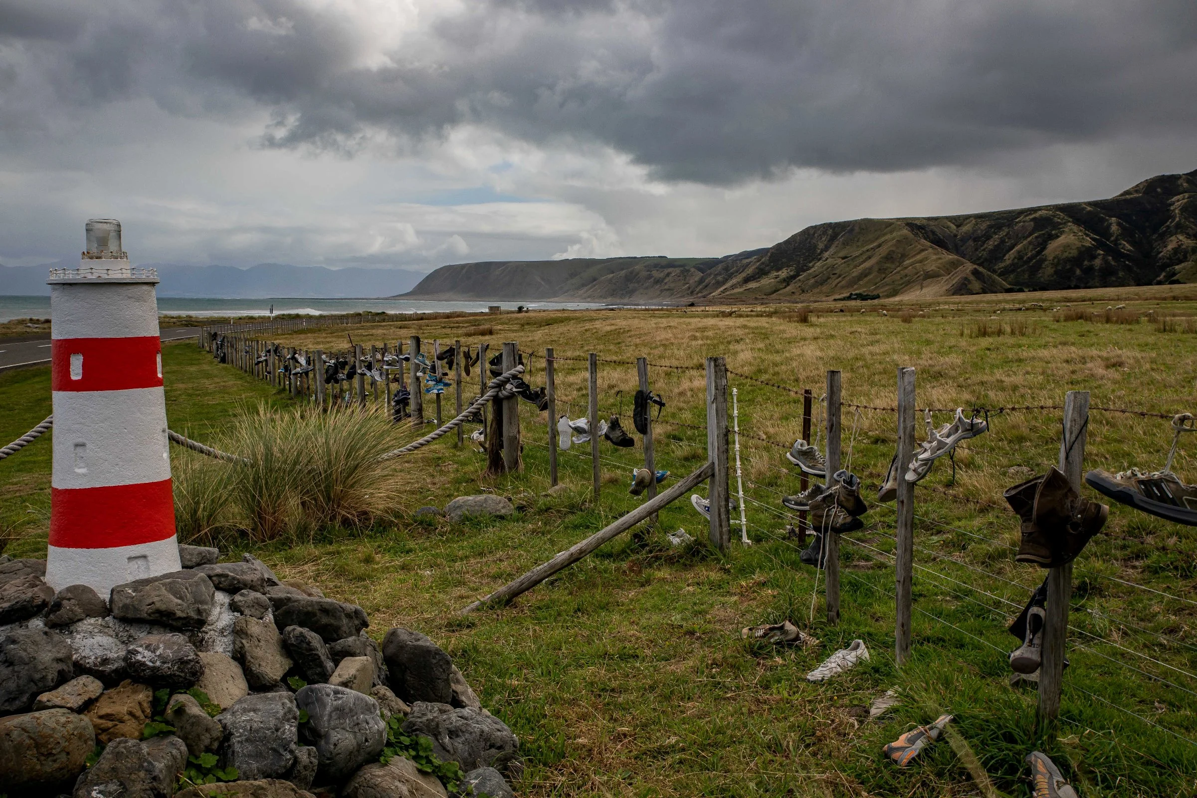 Palliser Bay,-558.JPG
