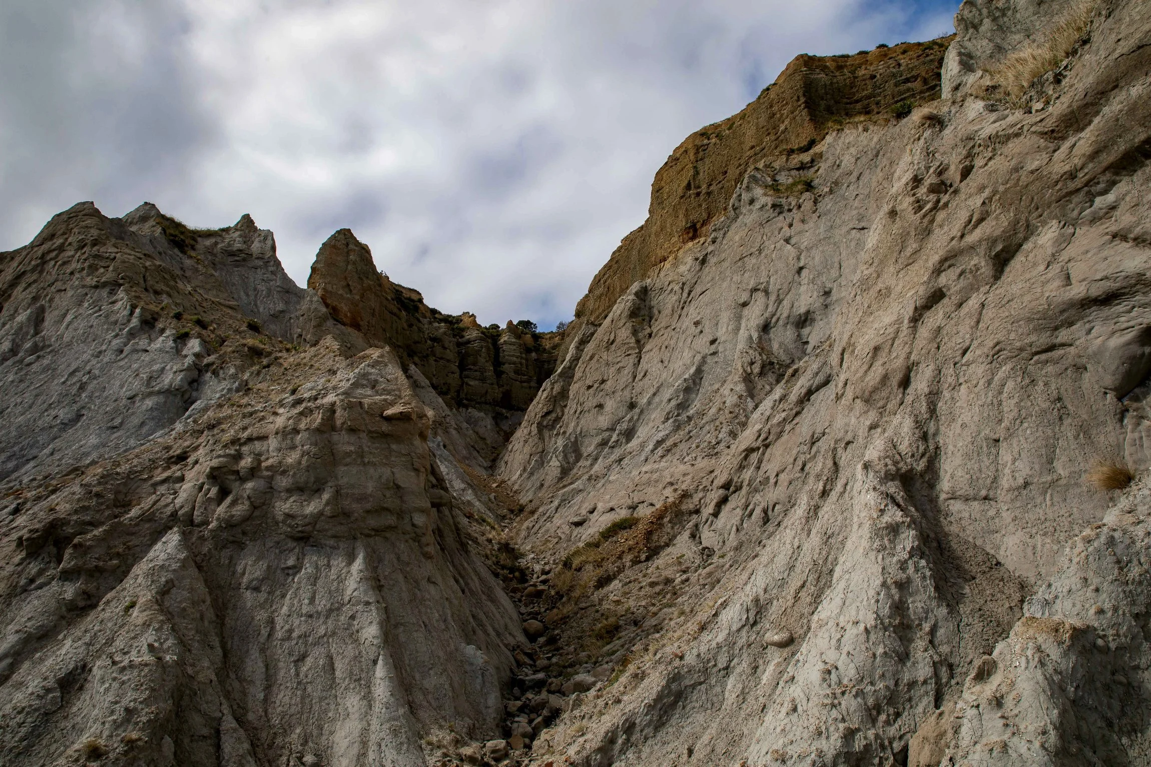 Palliser Bay,-598.JPG