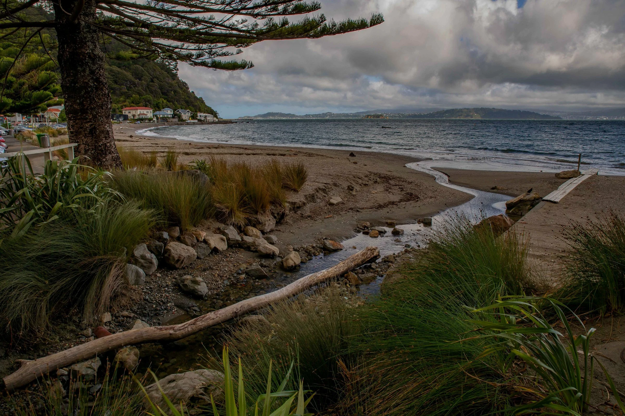 Days Bay,-1179.JPG