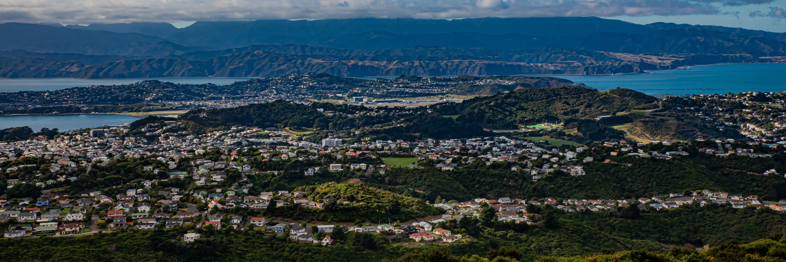 Wellington,-1051.JPG