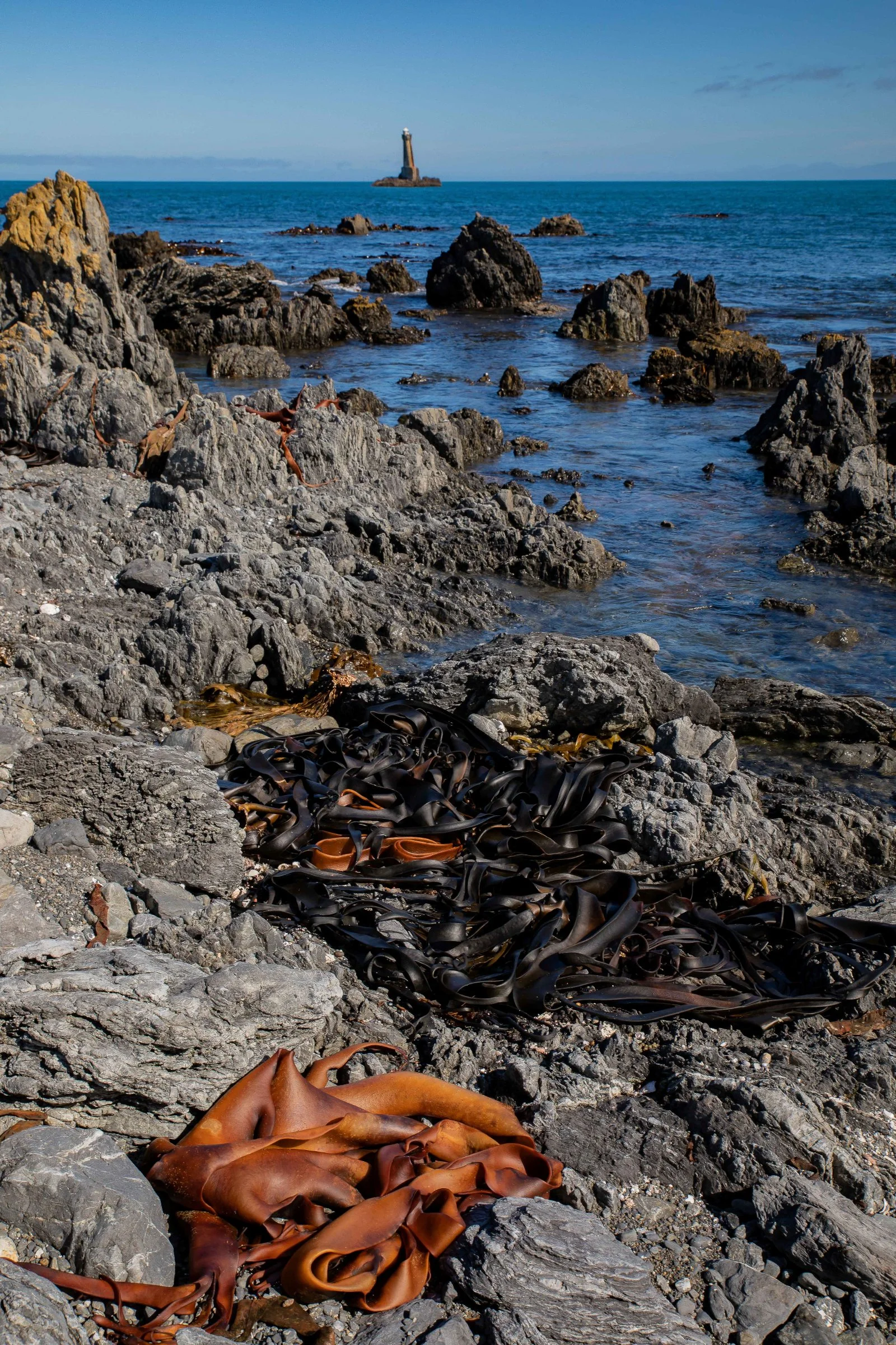 Wellington,Southern Coast,-1081.JPG