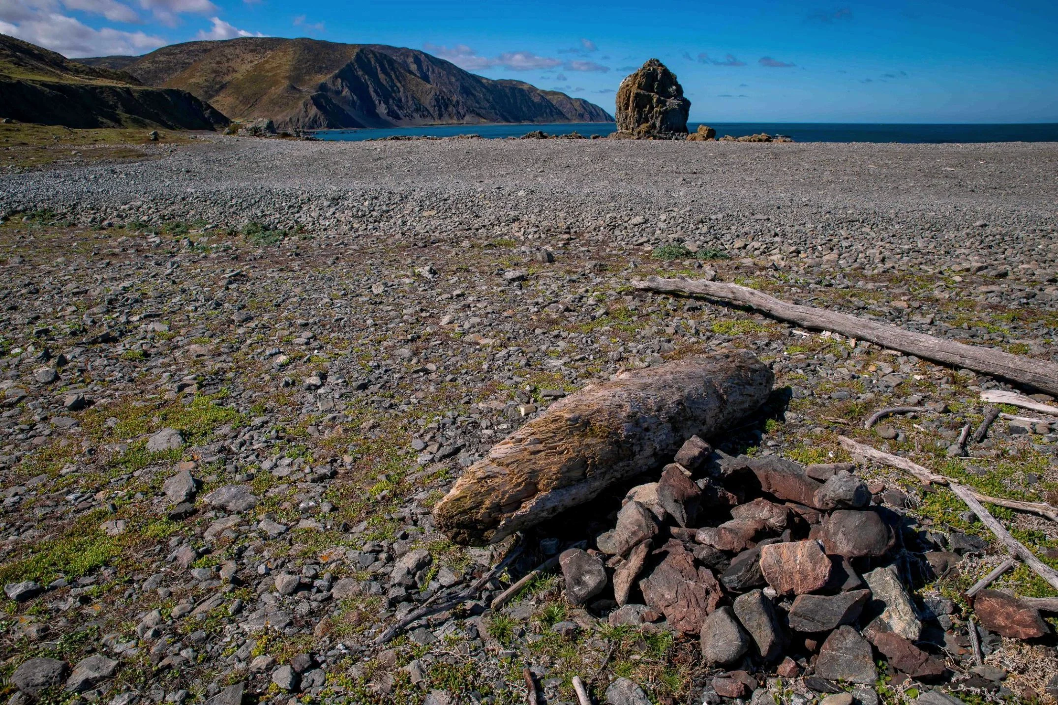 Wellington,Southern Coast,-1098.JPG