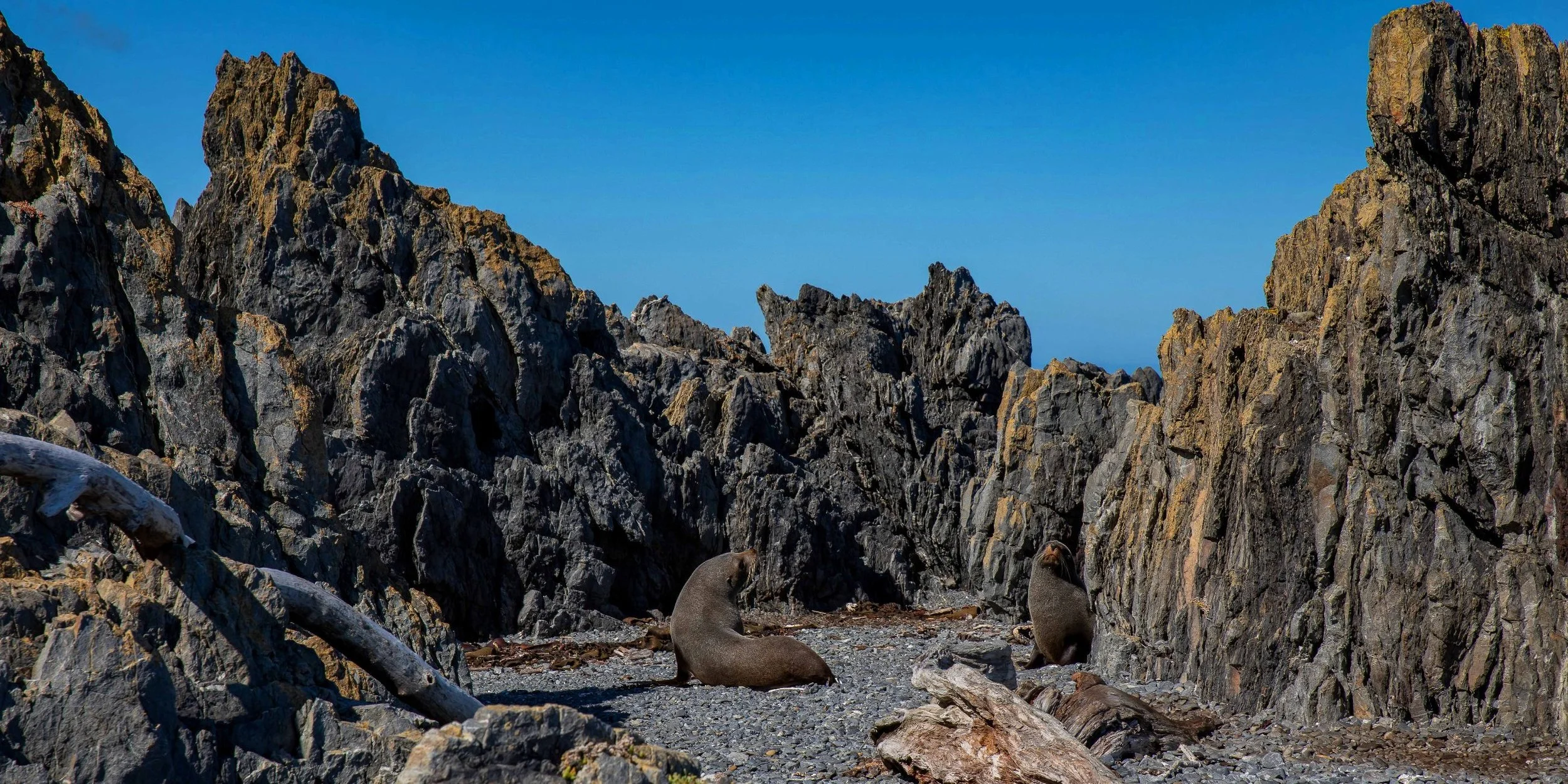 Wellington,Southern Coast,-1106.JPG