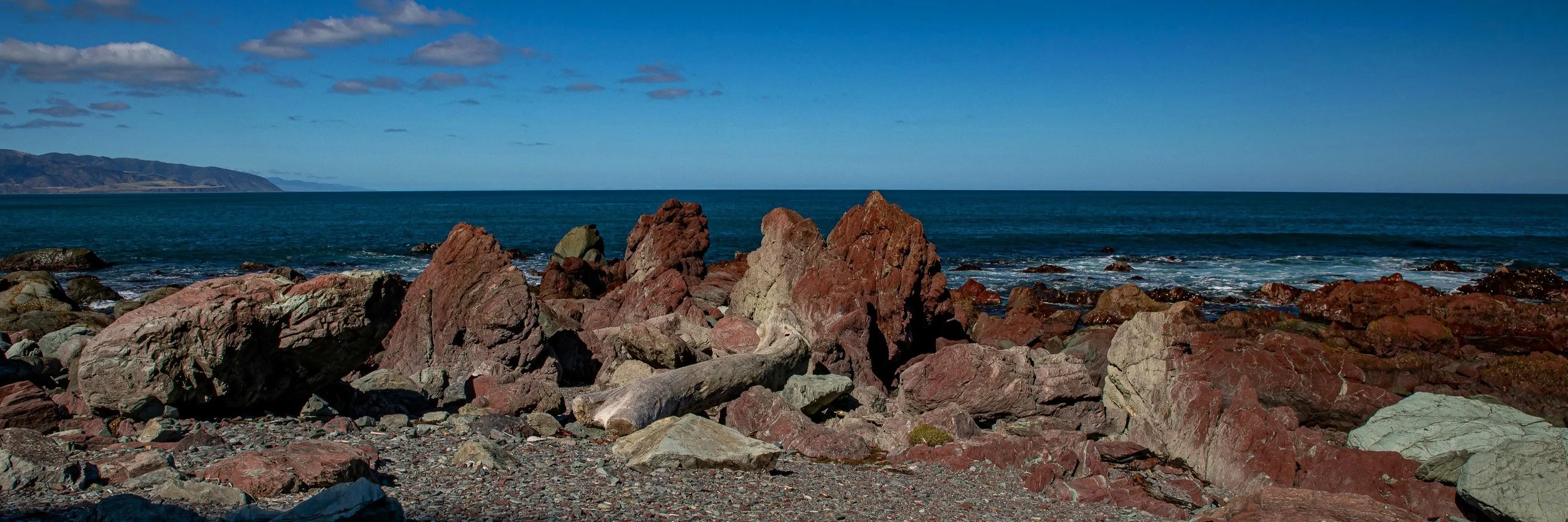 Wellington,Southern Coast,-1122.JPG