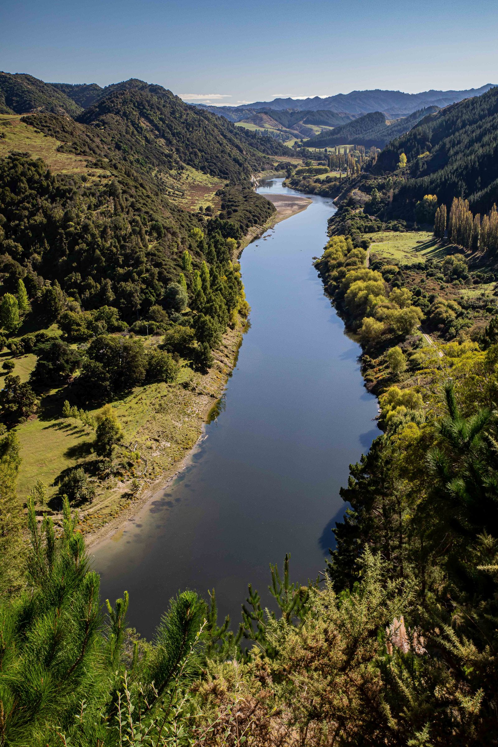 Whanganui River,-483.JPG