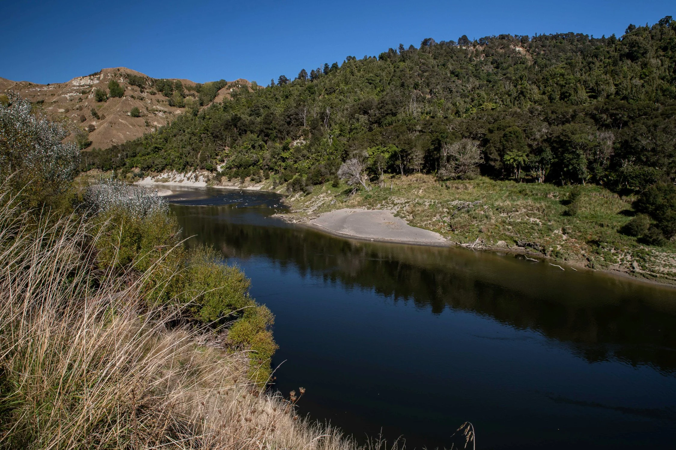 Whanganui River,-489.JPG