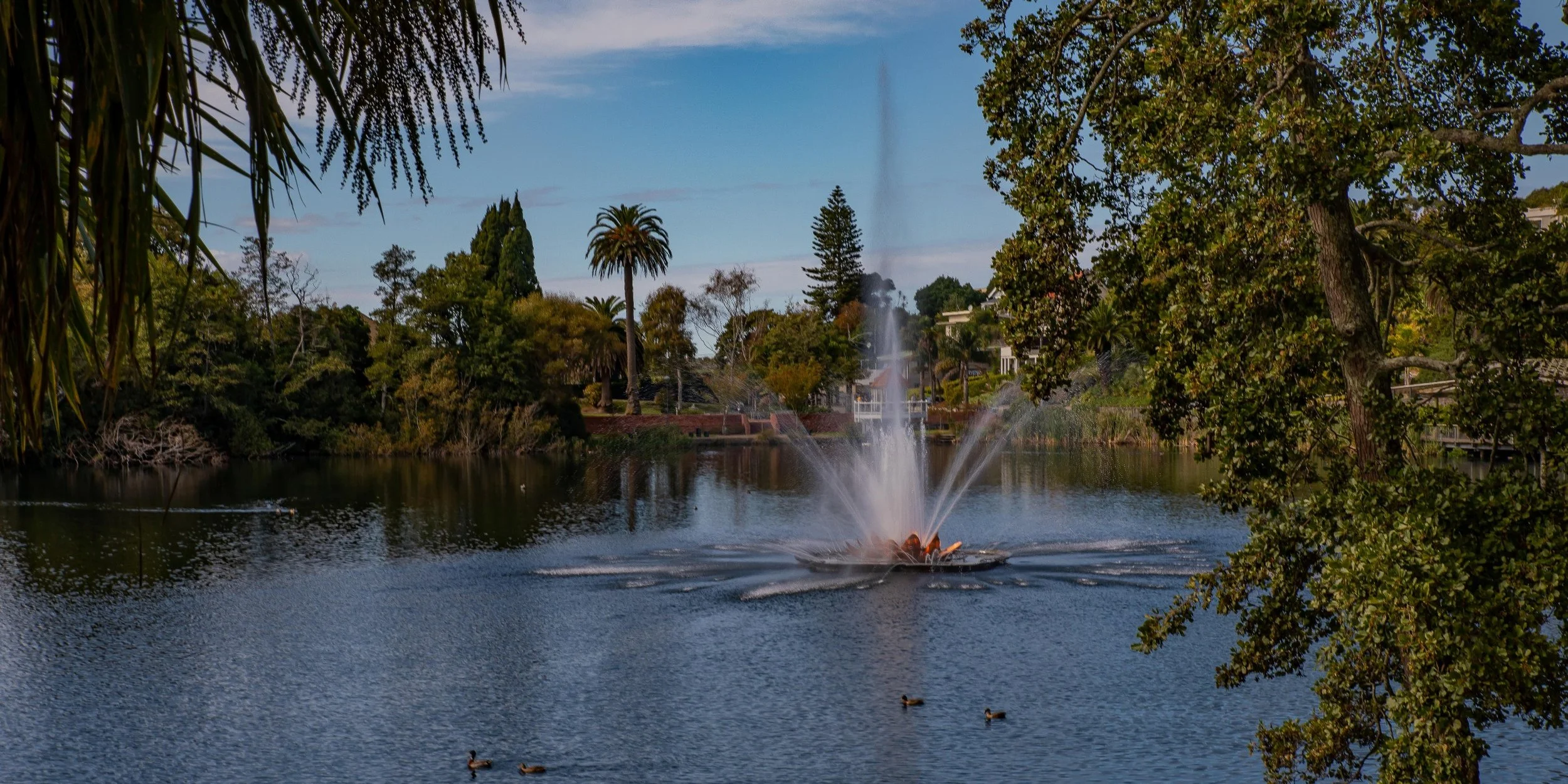 Whanganui,Virginia Lake,-160.JPG