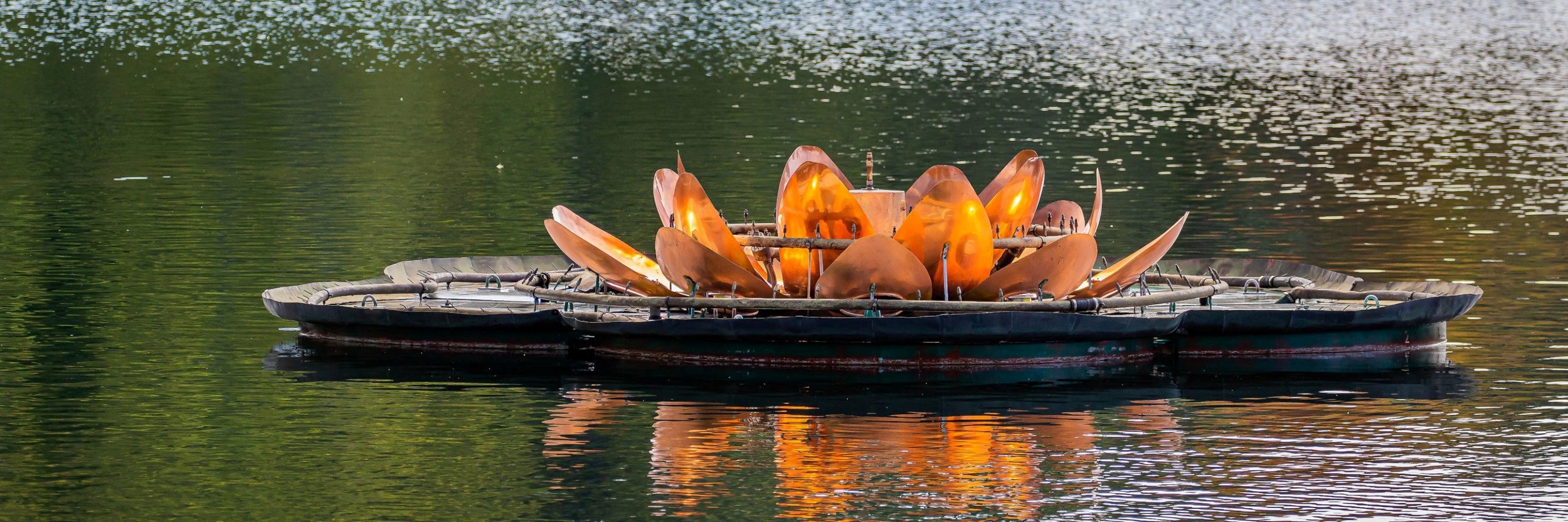 Whanganui,Virginia Lake,-7016.JPG