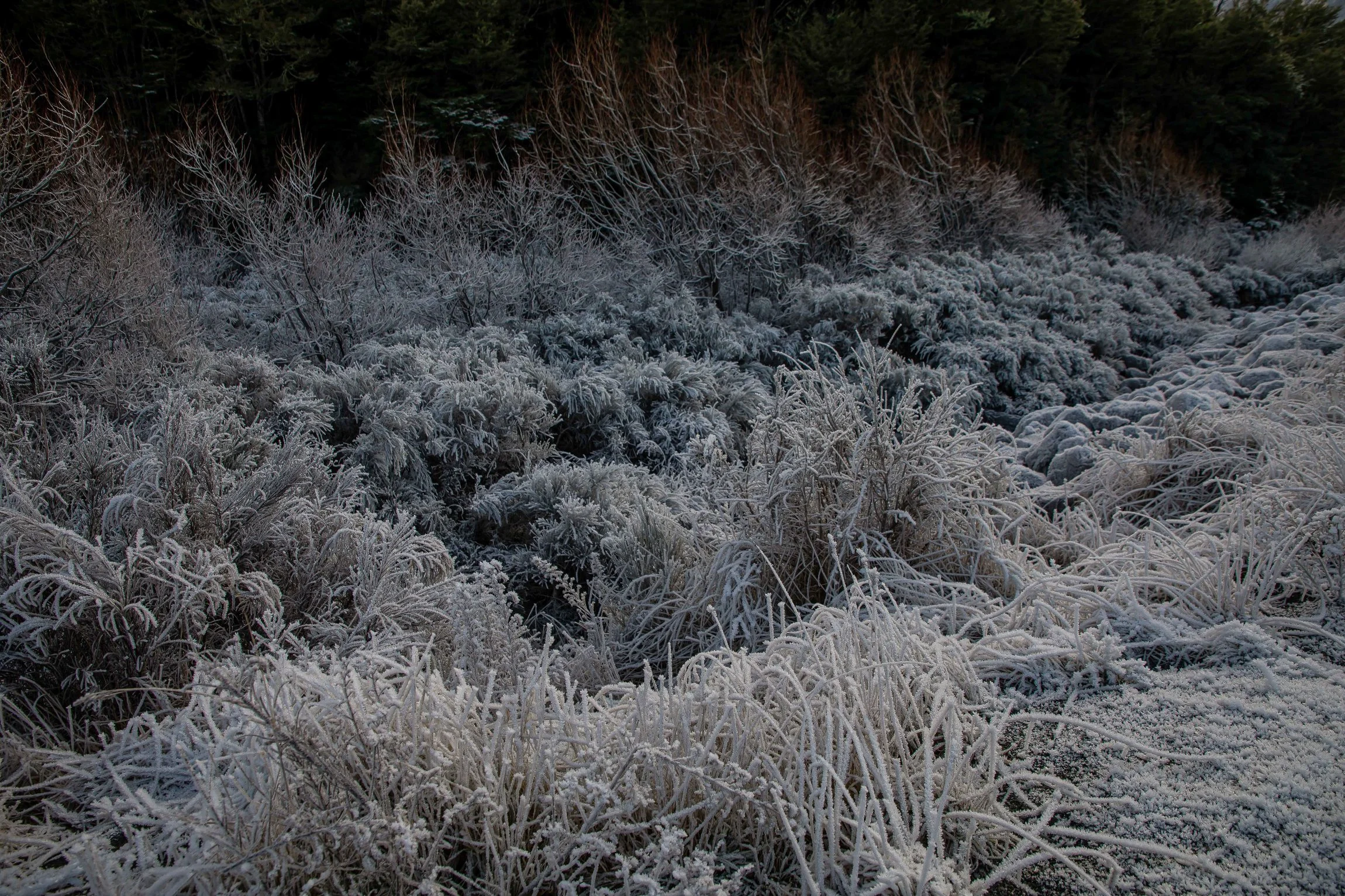 Southern Alps,-927.JPG