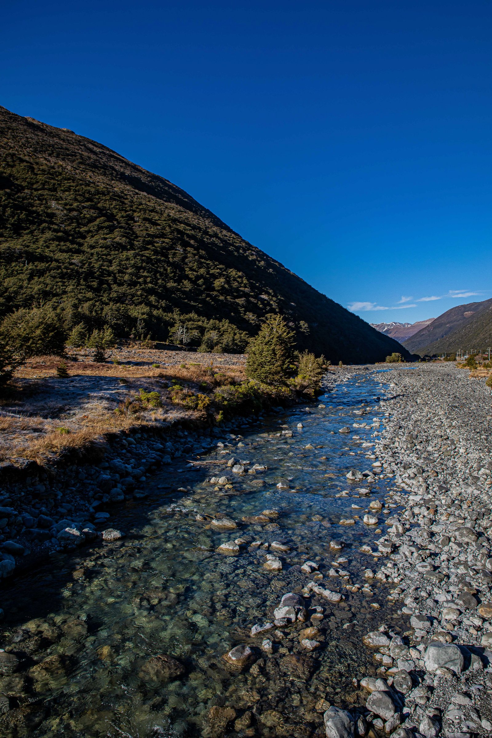 Southern Alps,Arthur's Pass,-873.JPG