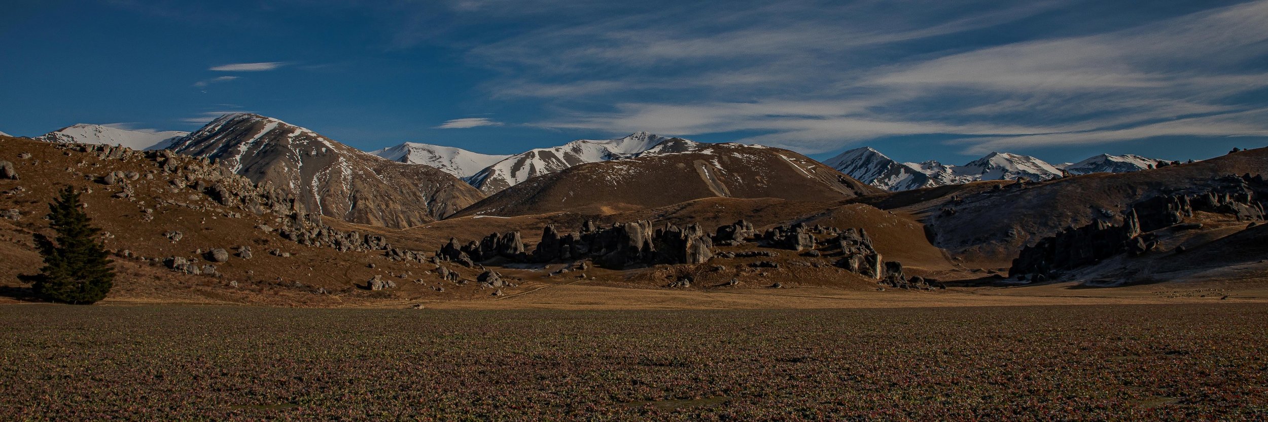 Southern Alps,Castle Hill,-1003.JPG