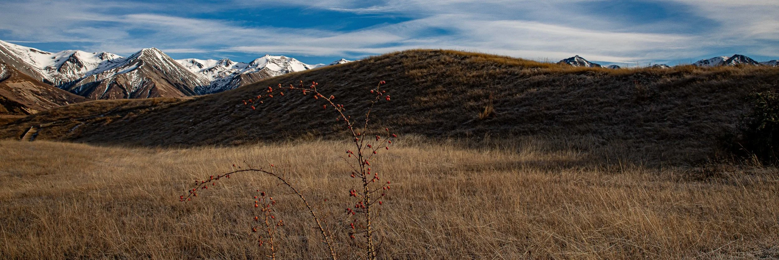 Southern Alps,Cave Stream,-978.JPG