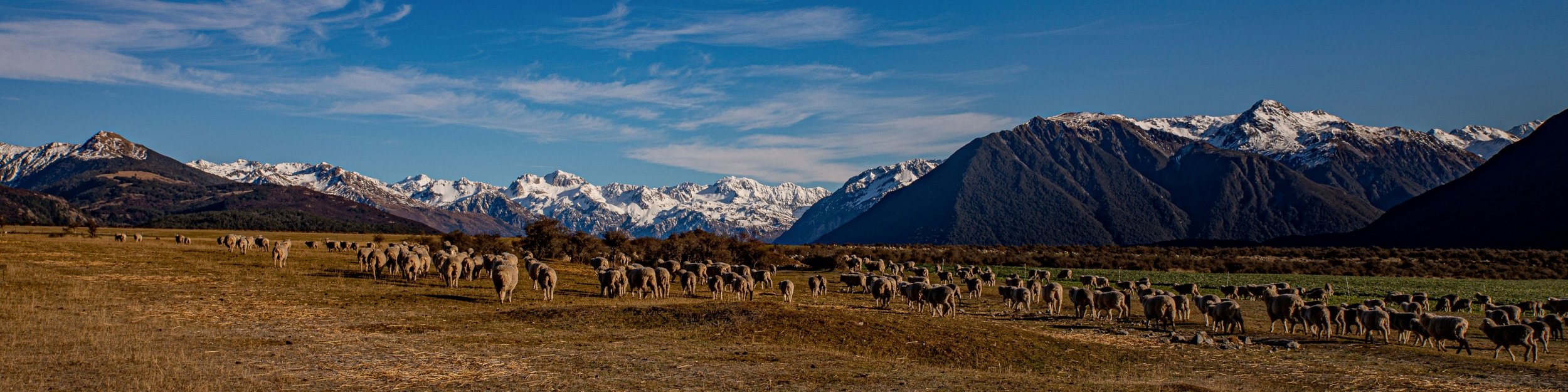 Southern Alps,Waimakariri Valley,-835.JPG