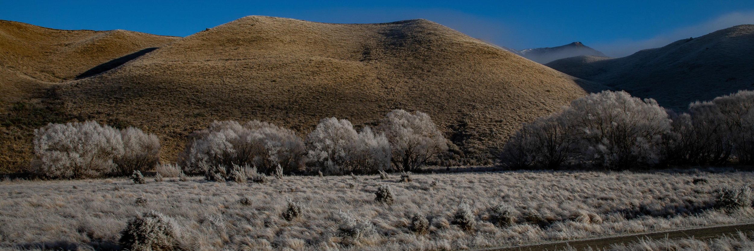 Tranz Alpine Railway,Southern Alps,Frost,-096.JPG