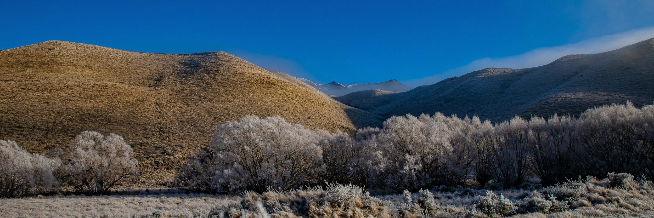 Tranz Alpine Railway,Southern Alps,Frost,-097.JPG