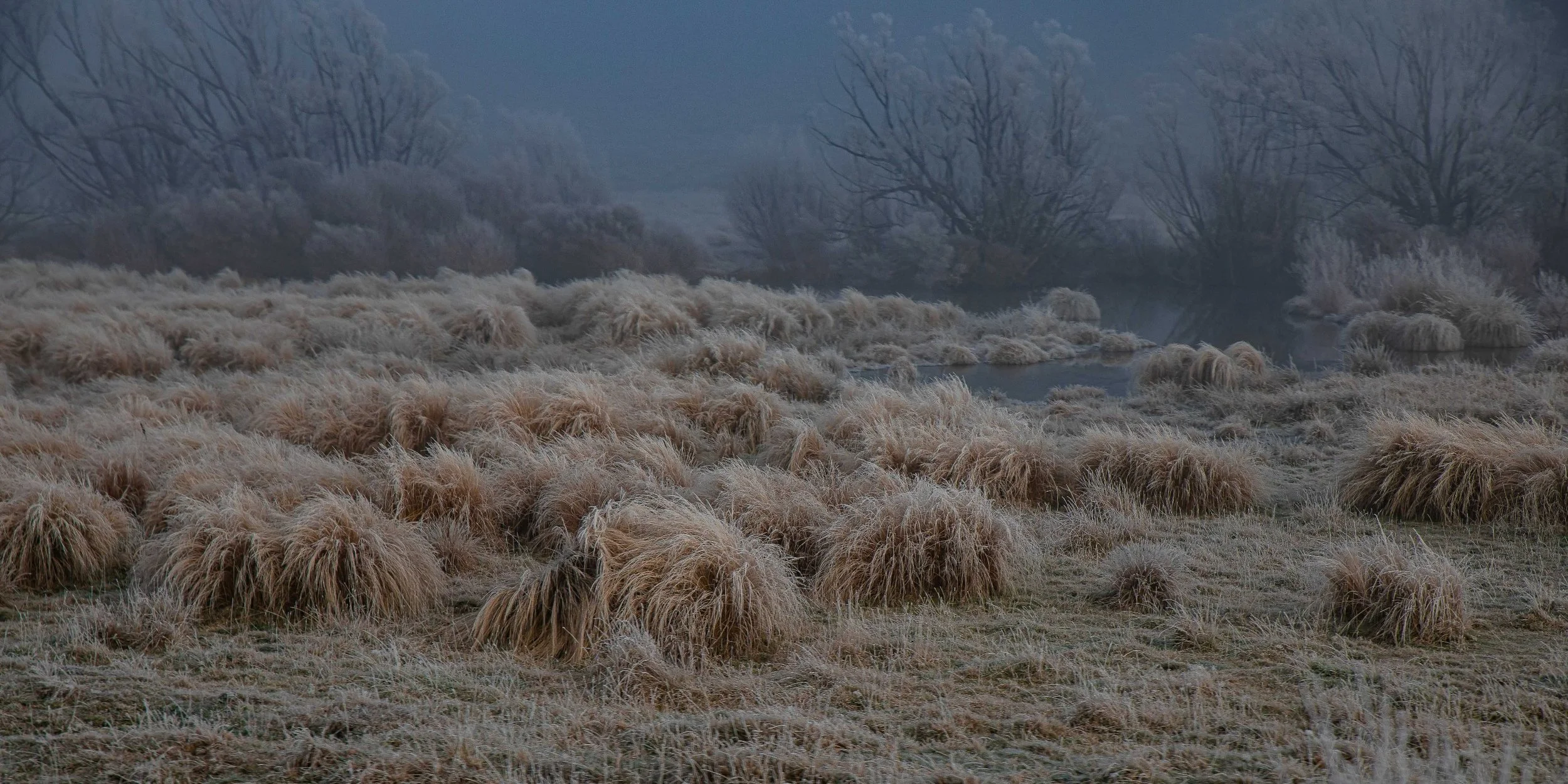 Tranz Alpine Railway,Southern Alps,Frost,-108.JPG