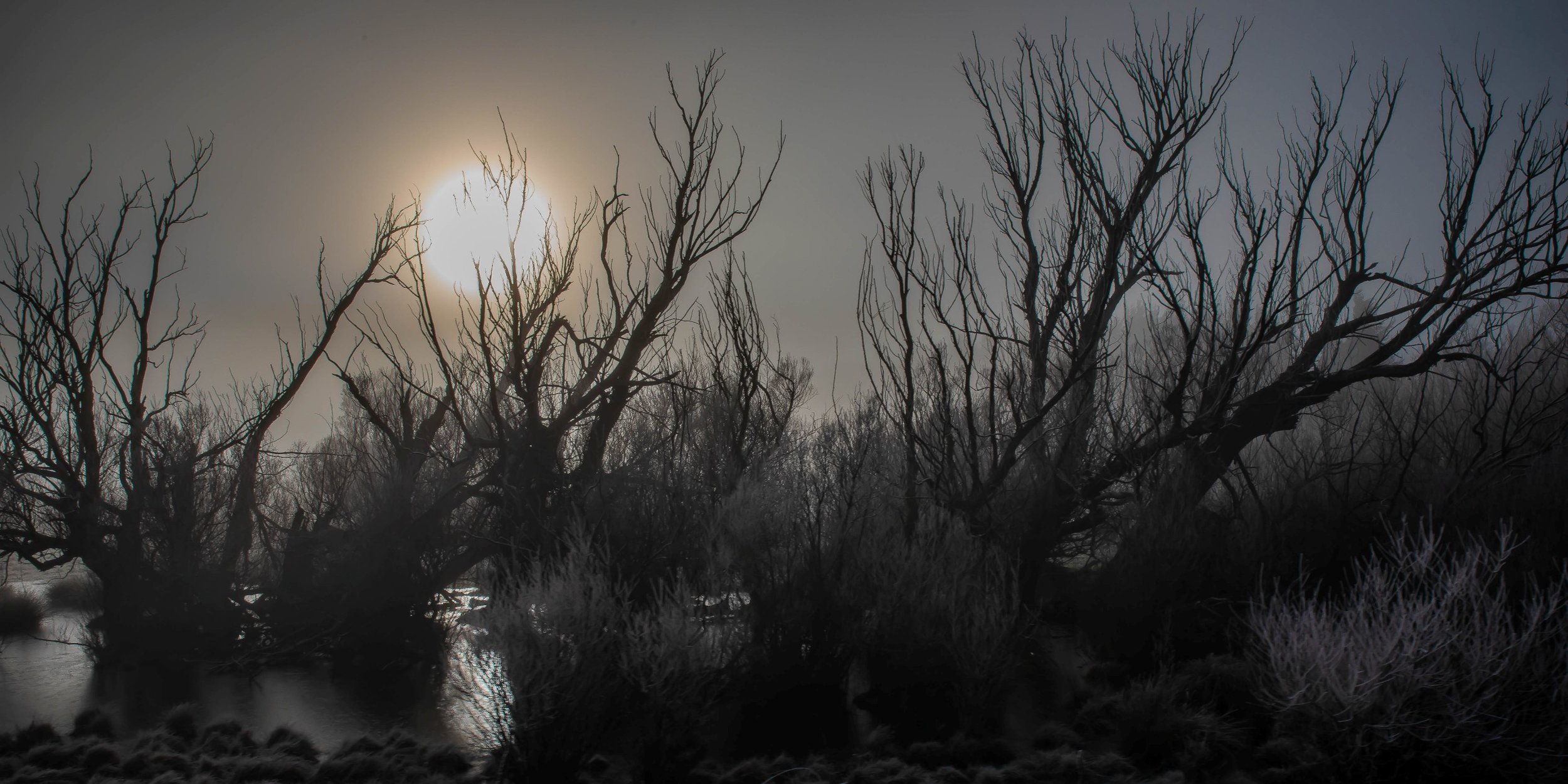 Tranz Alpine Railway,Southern Alps,Frost,-124.JPG