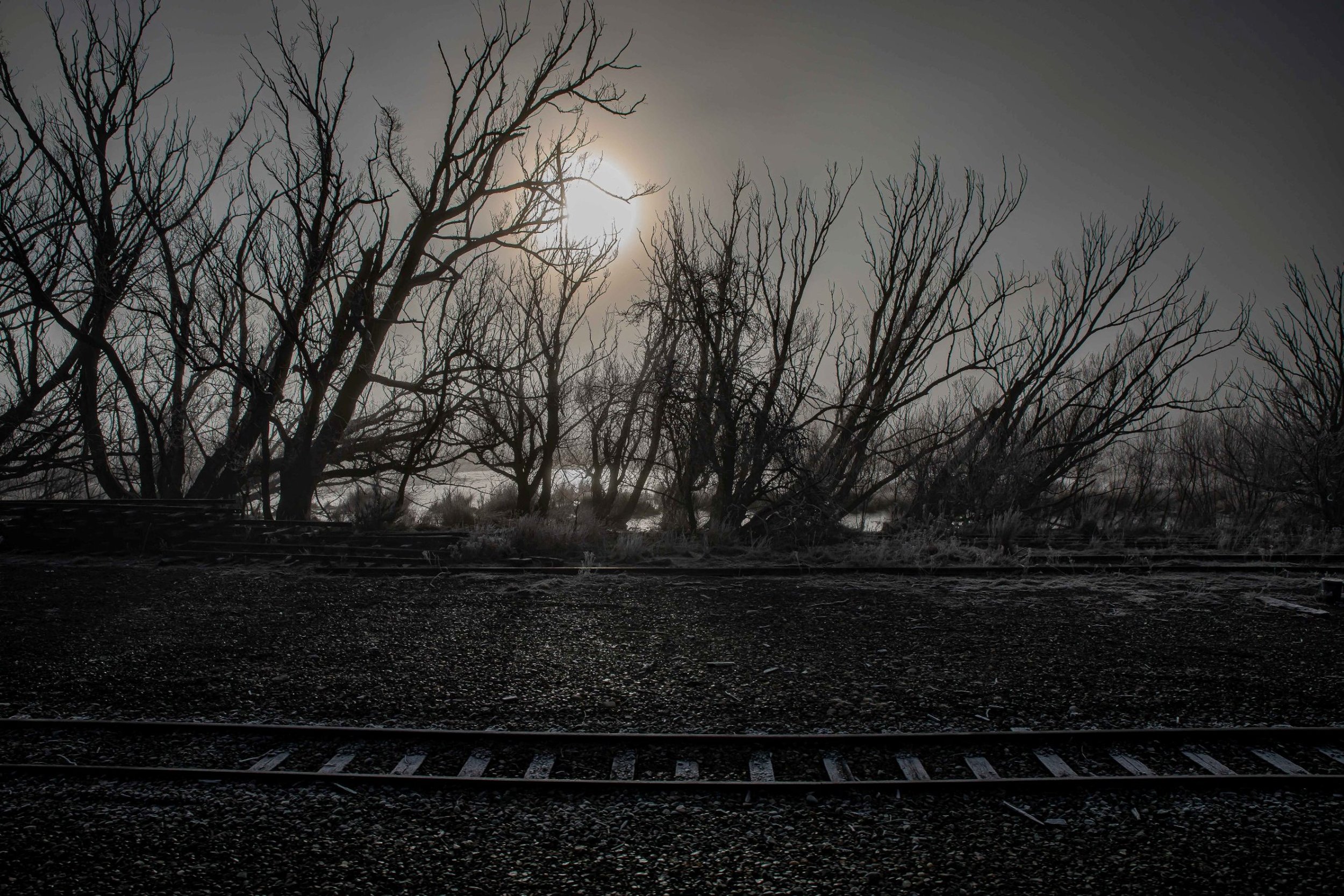Tranz Alpine Railway,Southern Alps,Frost,-126.JPG