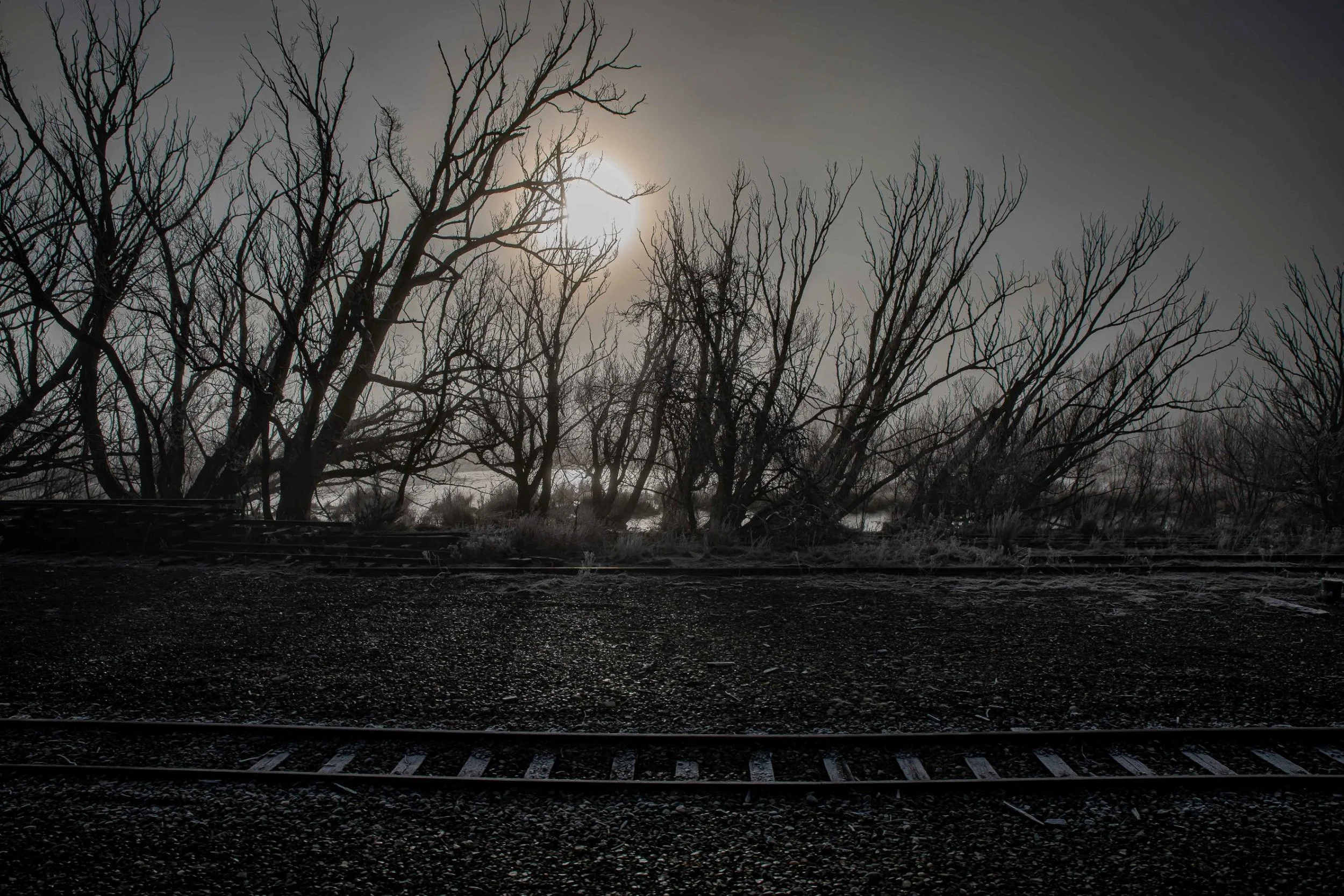 Tranz Alpine Railway,Southern Alps,Frost,-126.JPG