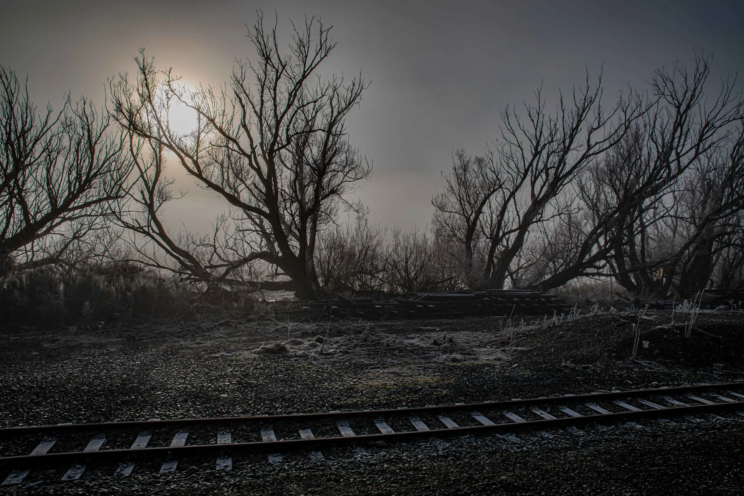 Tranz Alpine Railway,Southern Alps,Frost,-127.JPG