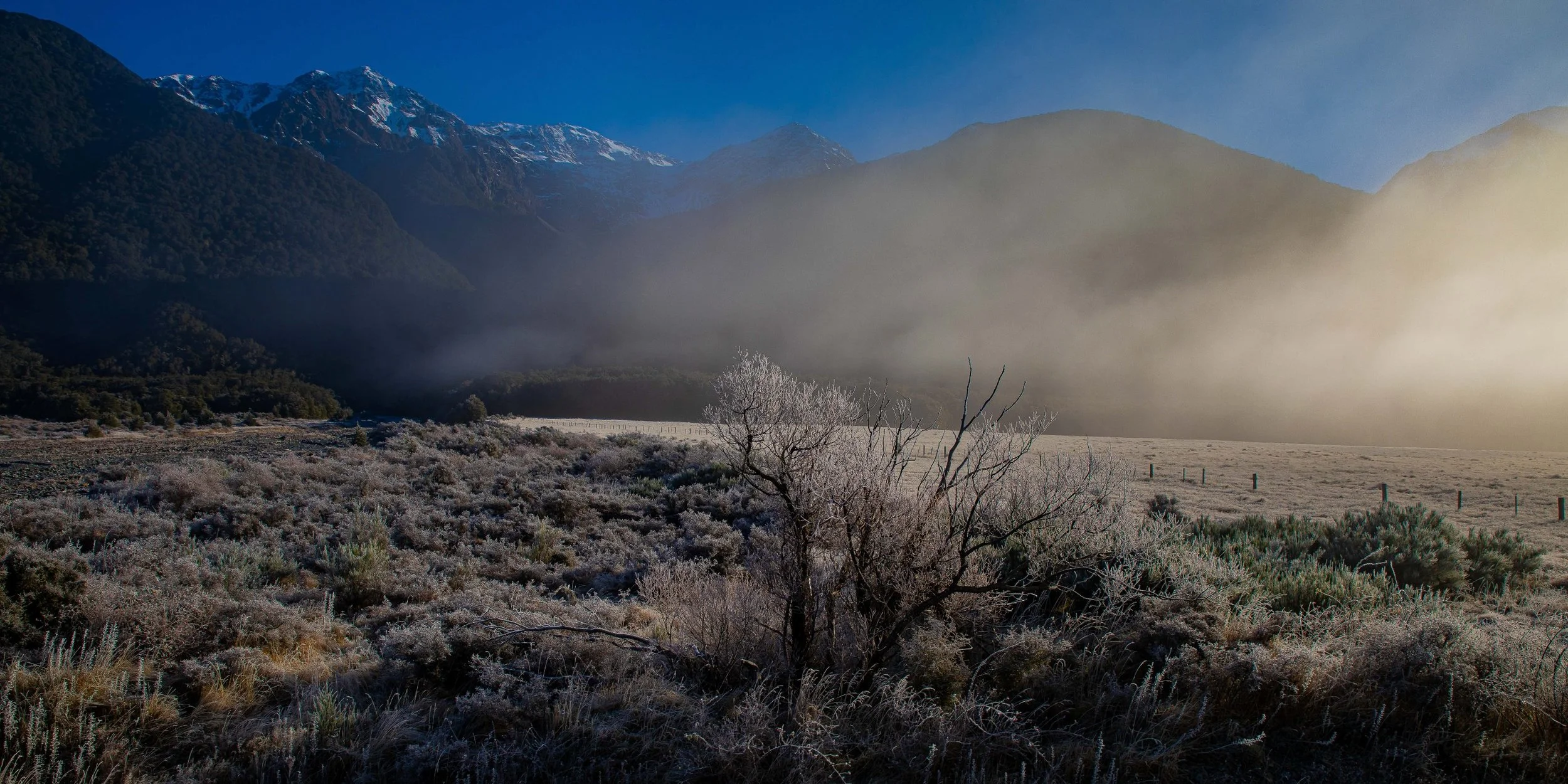 Tranz Alpine Railway,Southern Alps,Frost,-167.JPG