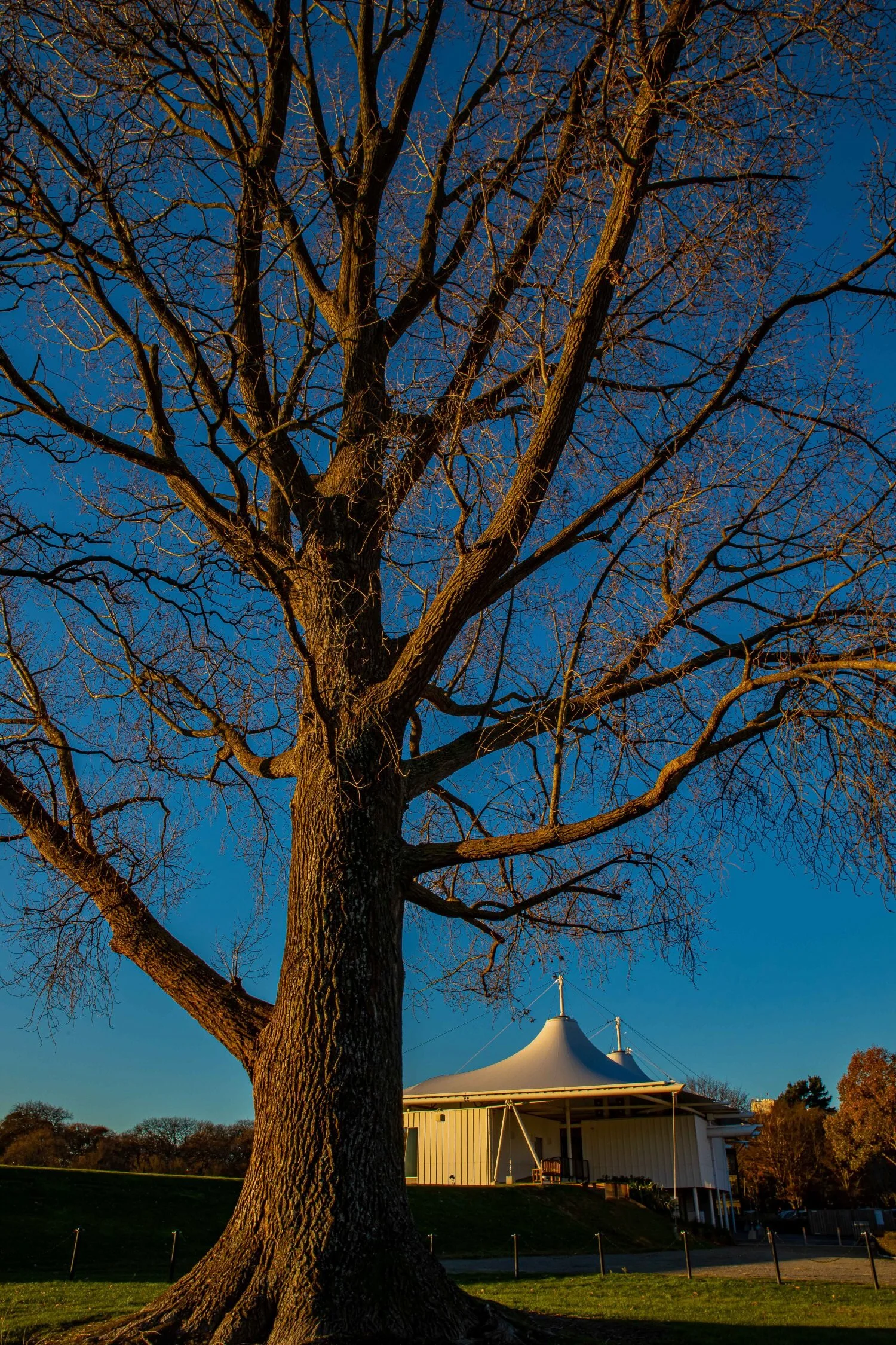 Christchurch,Hagley Park,-008.JPG