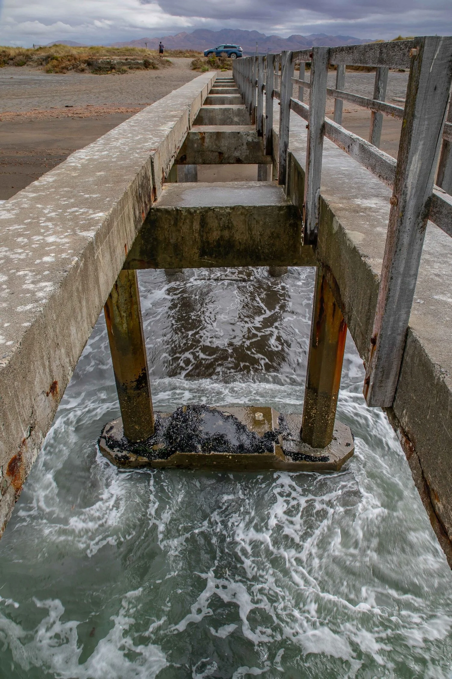 Cape Campbell,Lake Grassmere,Marfells Beach,-167.JPG