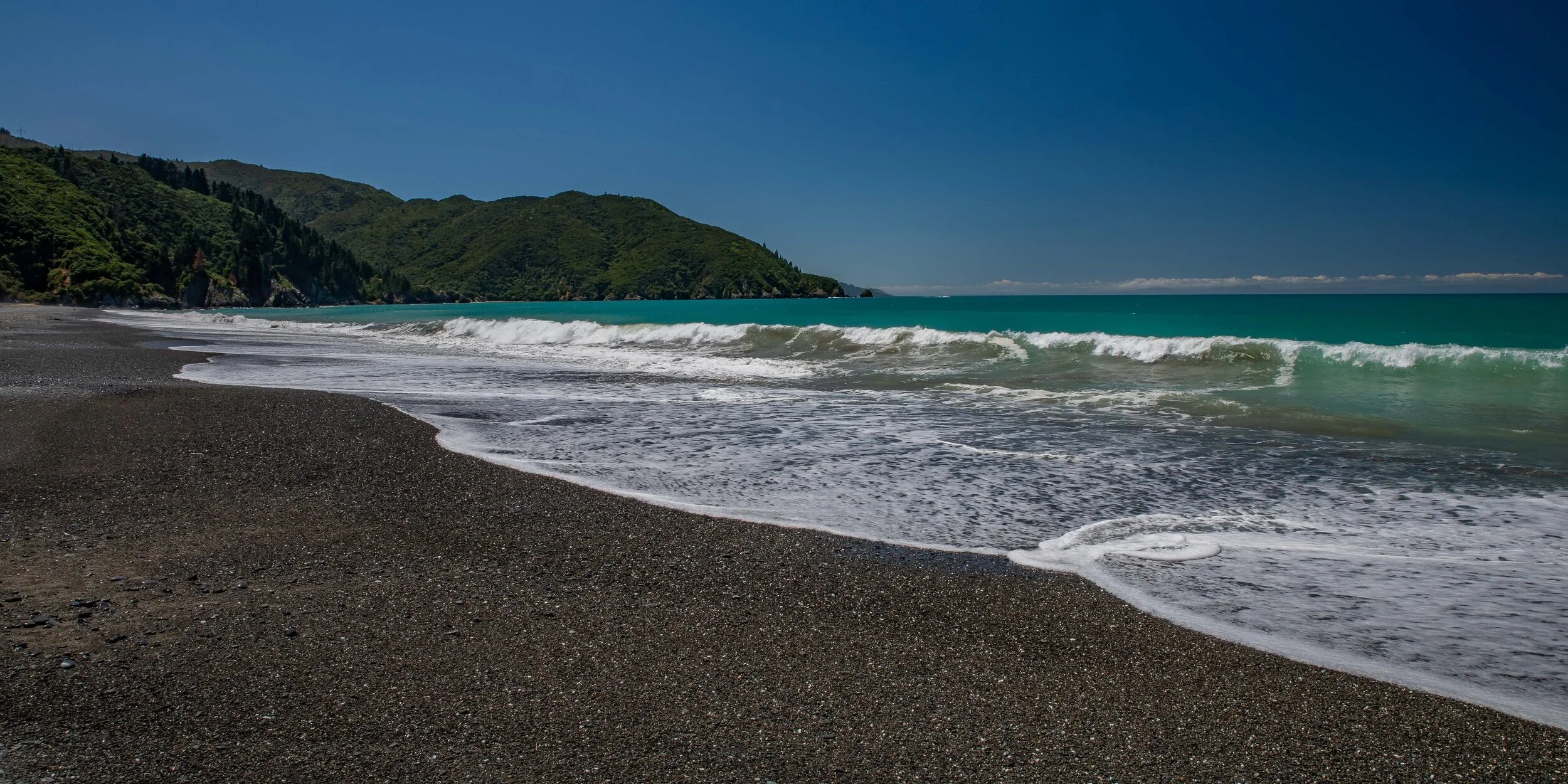Cloudy Bay,Rarangi Beach,-312.JPG
