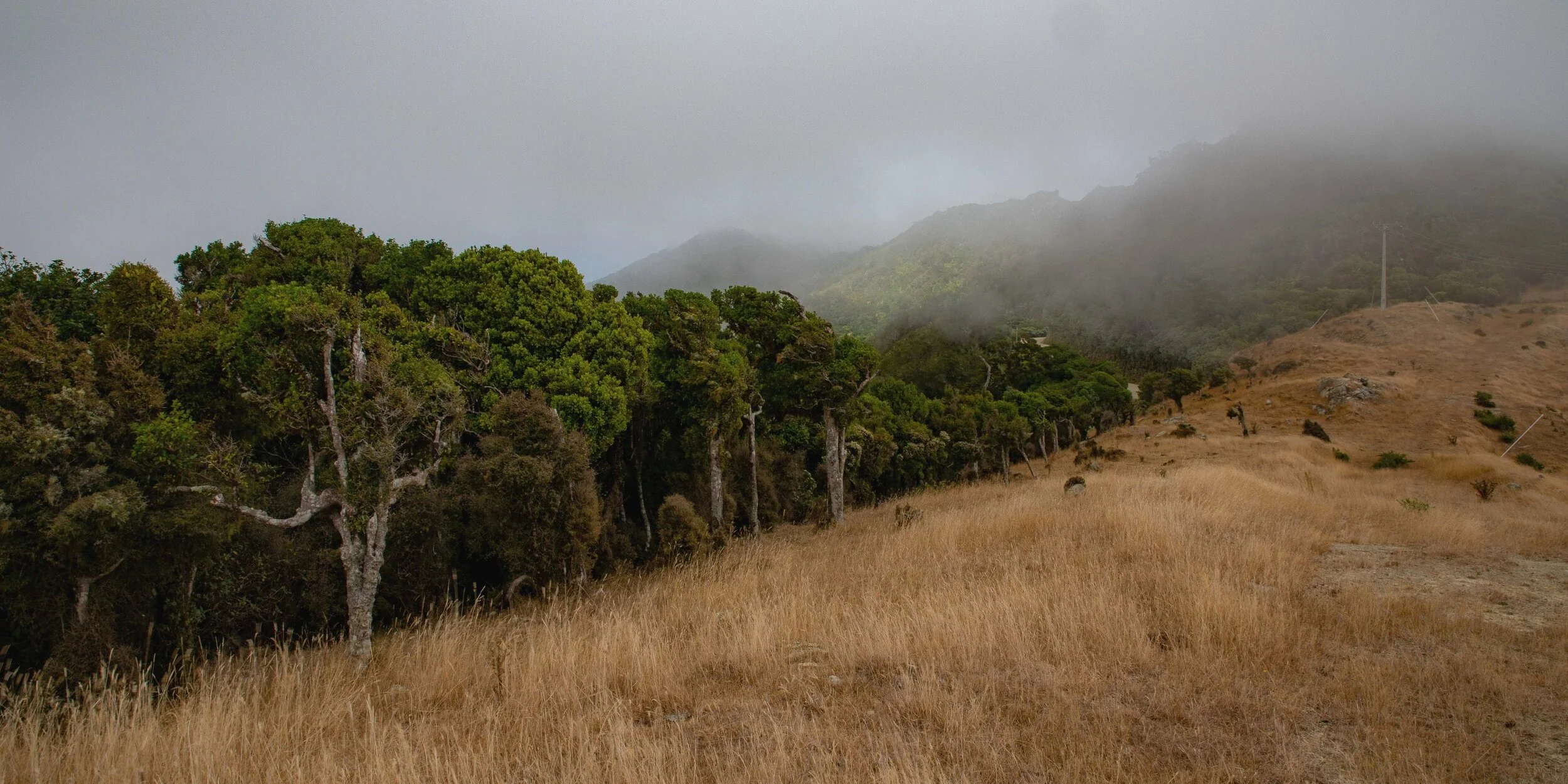 French Pass Road,-030.JPG