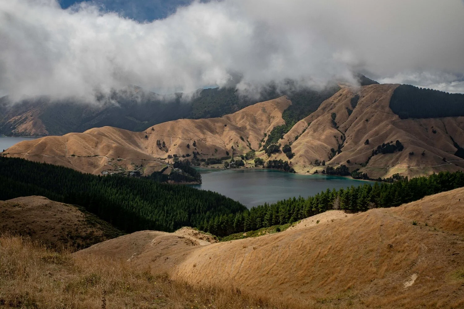 French Pass Road,Cissy Bay,-057.JPG