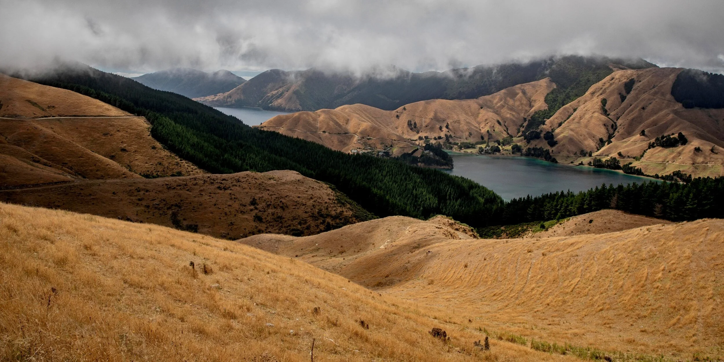 French Pass Road,Cissy Bay,-060.JPG
