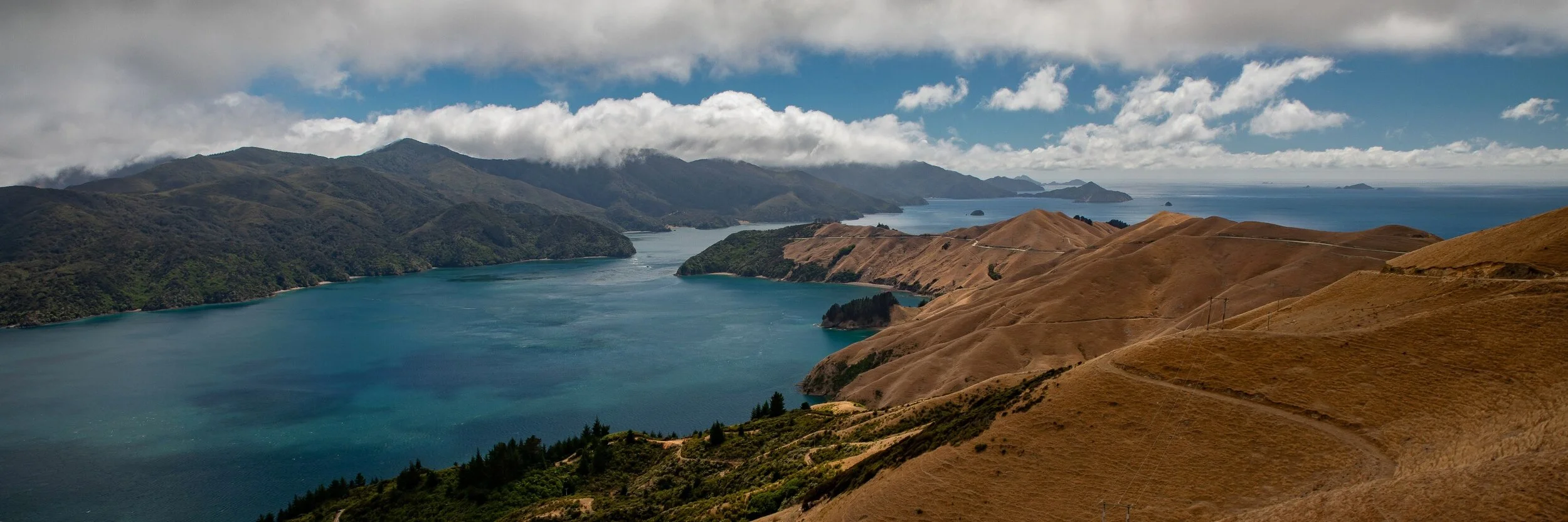 French Pass Road,French Pass,-063.JPG