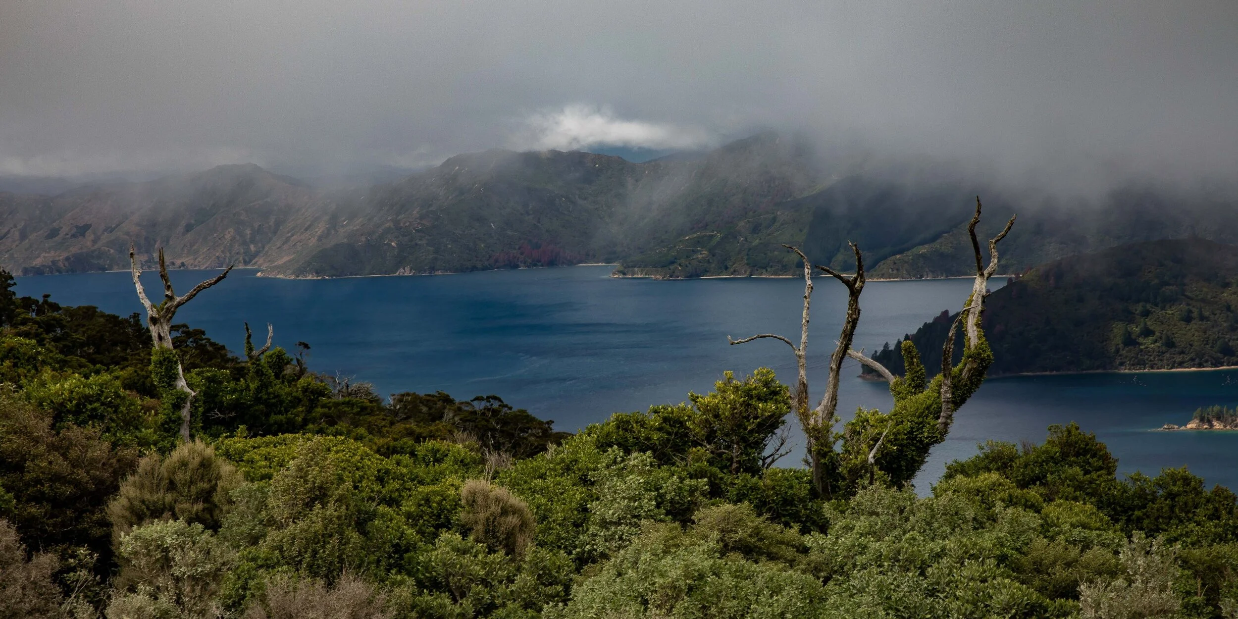 French Pass Road,Hallam Cove,-051.JPG