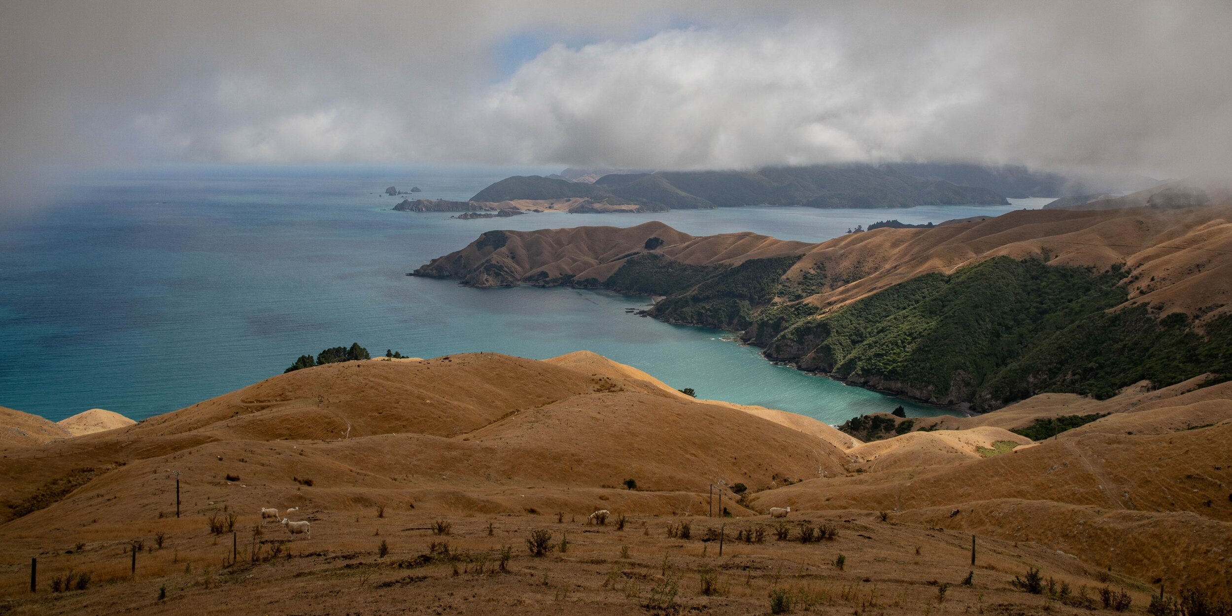 French Pass Road,Tasman Bay,-055.JPG