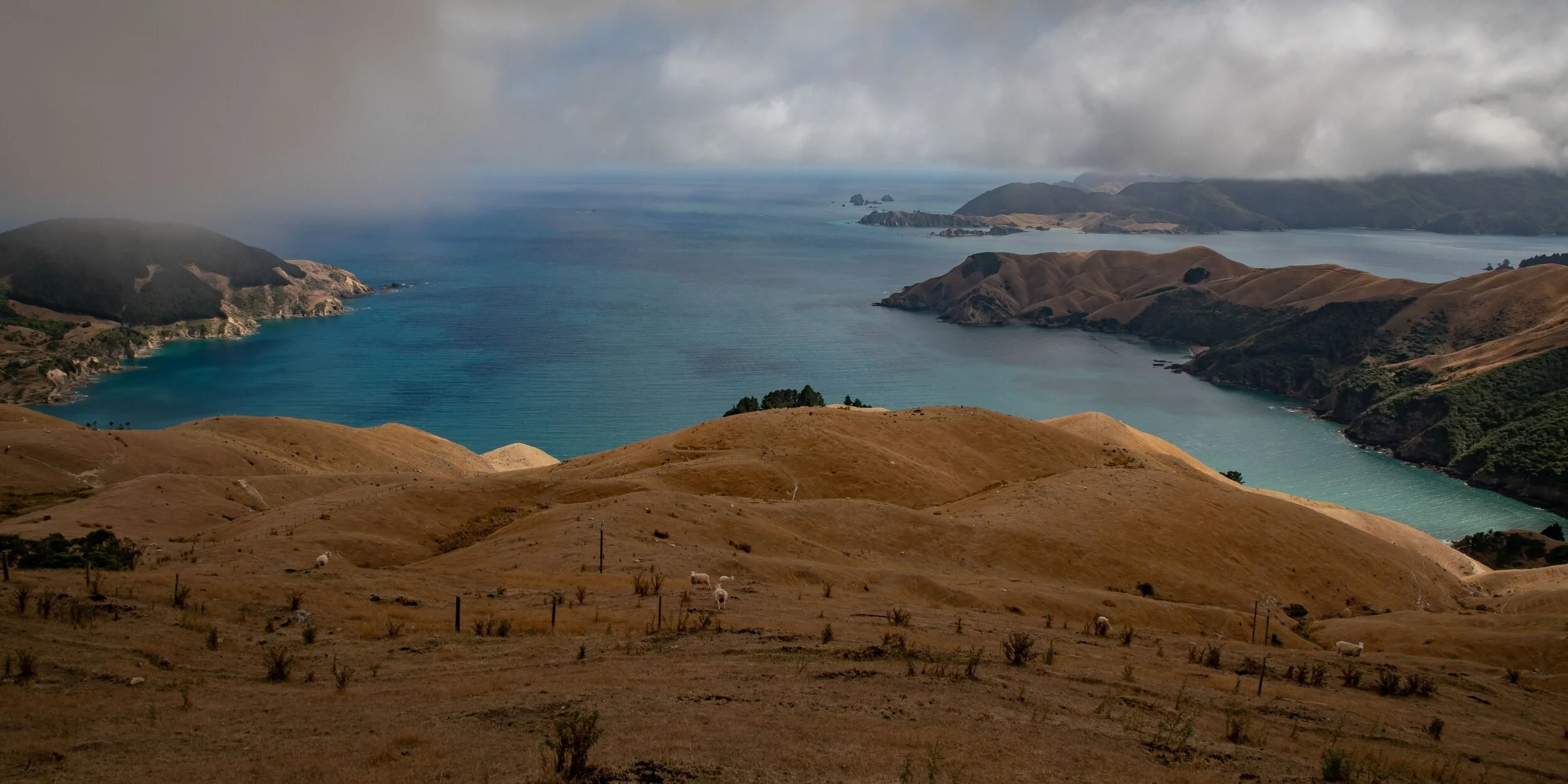 French Pass Road,Tasman Bay,-056.JPG