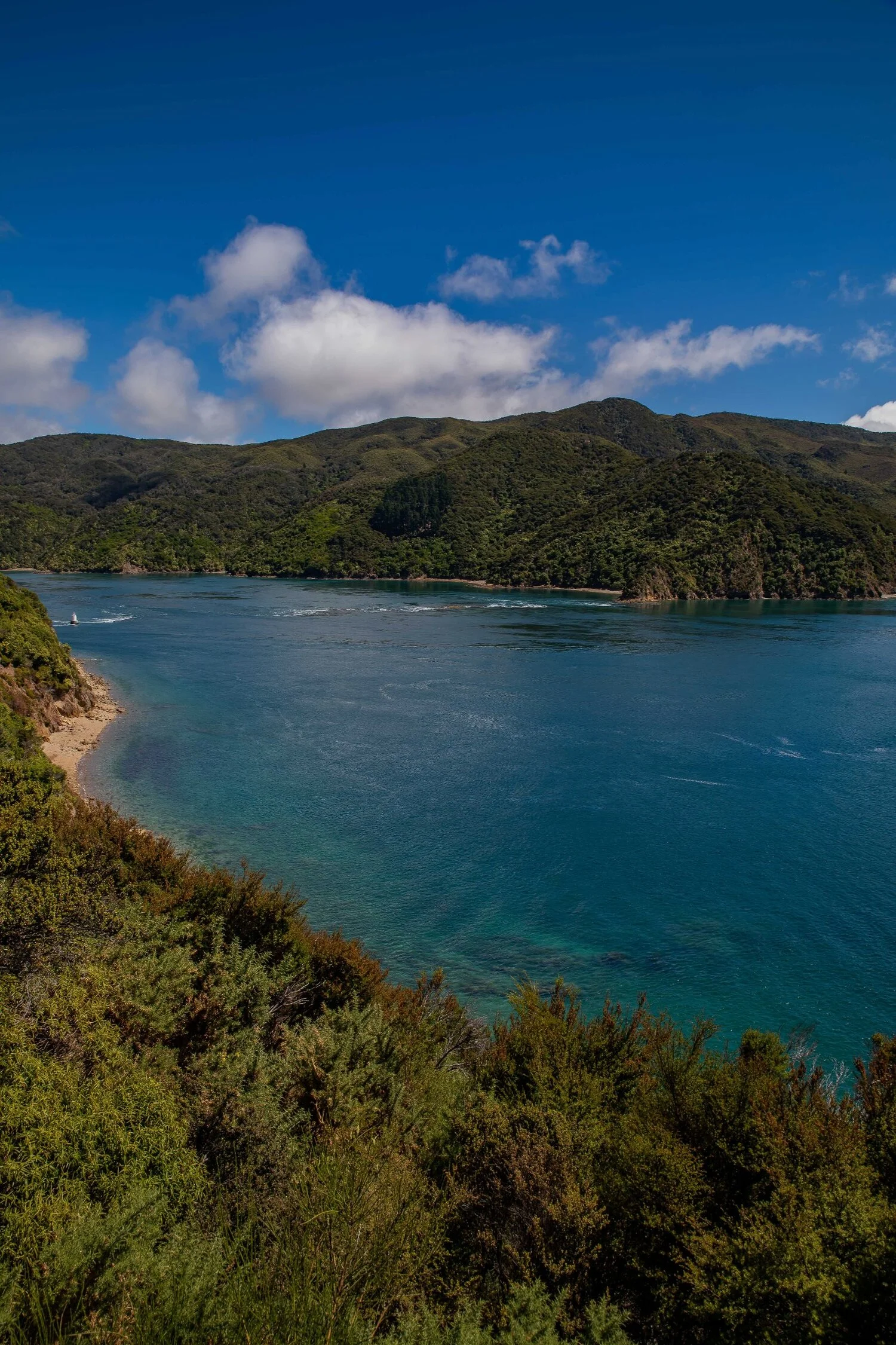 French Pass,-069.JPG