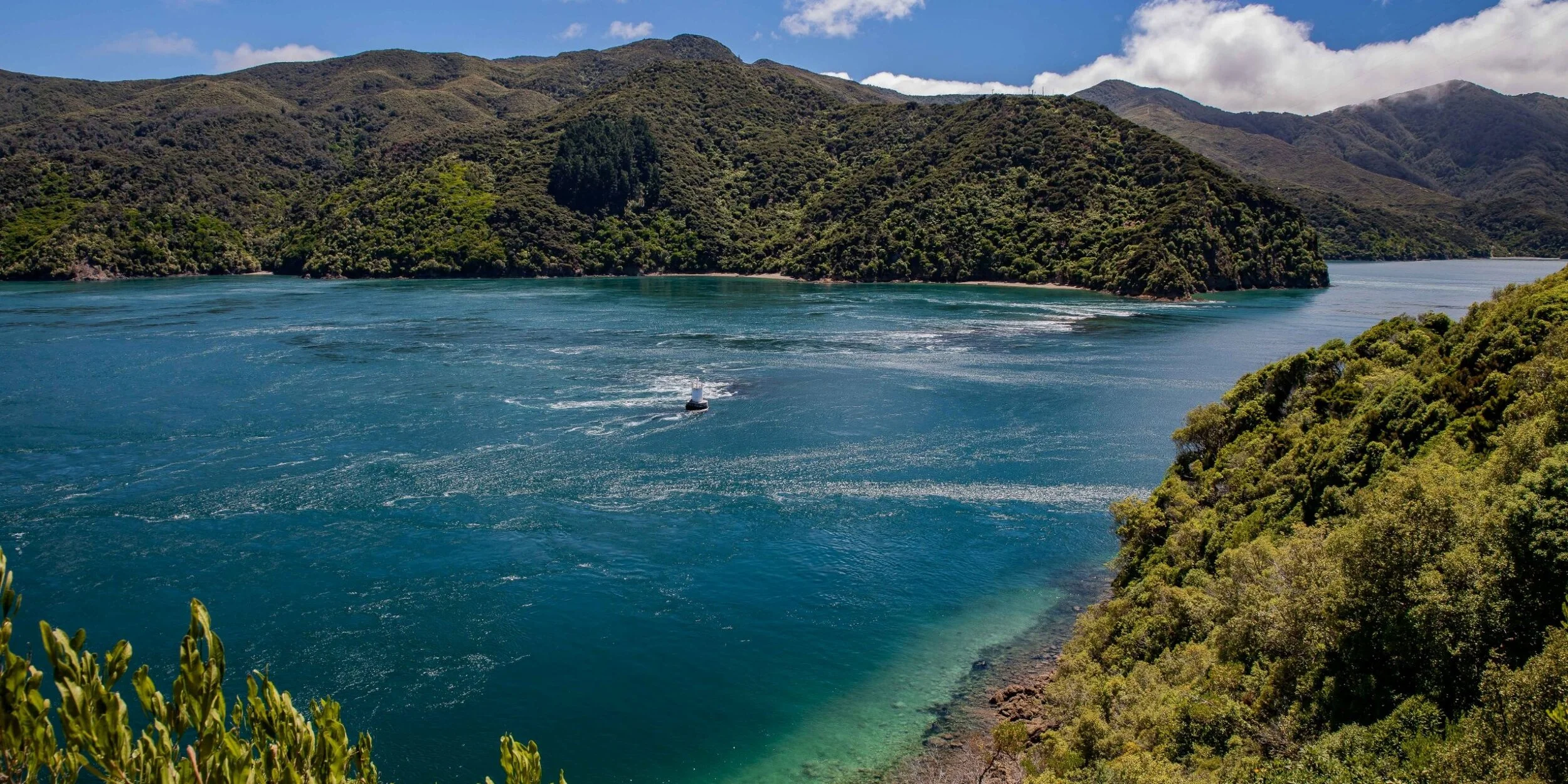 French Pass,-099.JPG