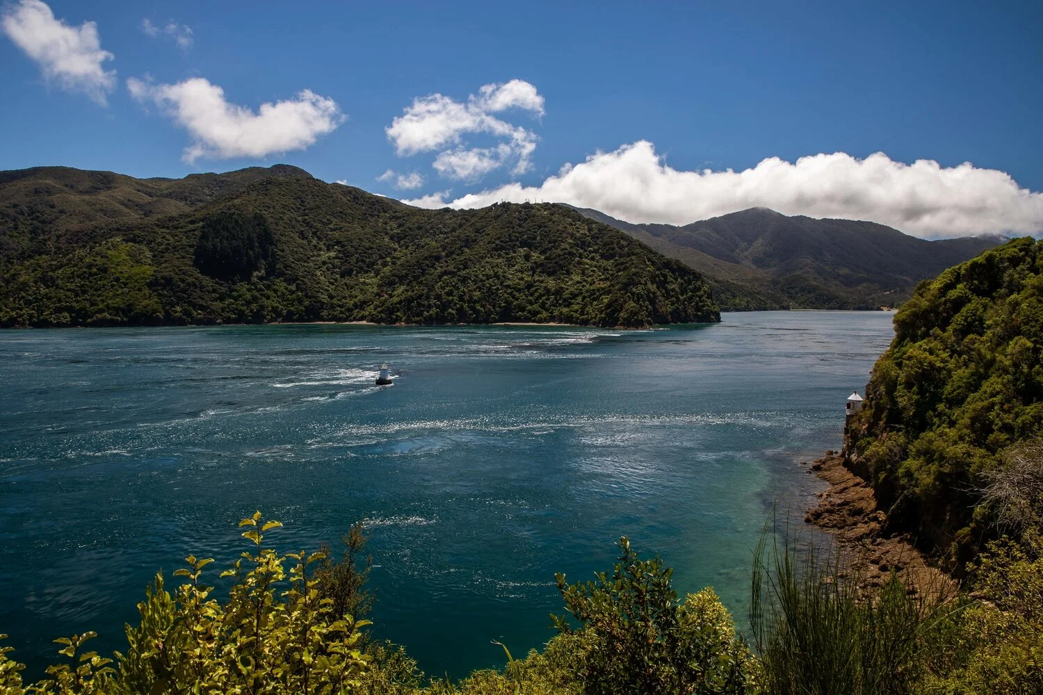 French Pass,-101.JPG