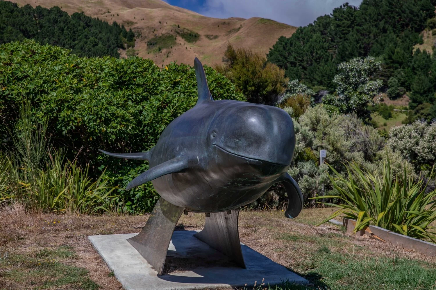 French Pass,Collinet Pt,-072.JPG