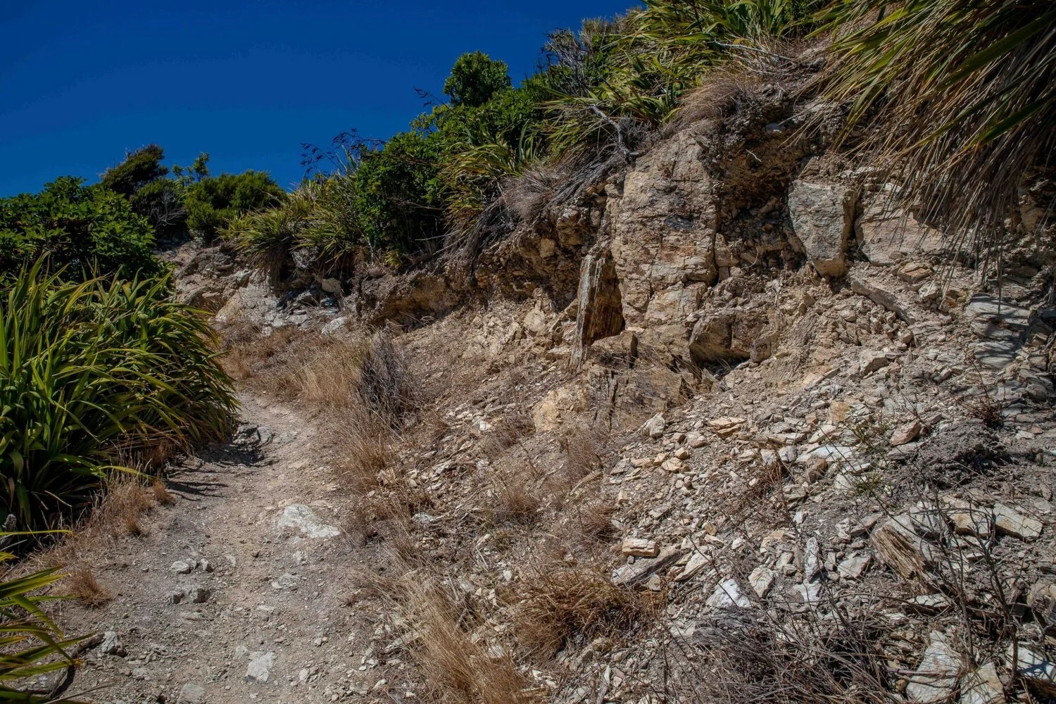 French Pass,Collinet Pt,-074.JPG