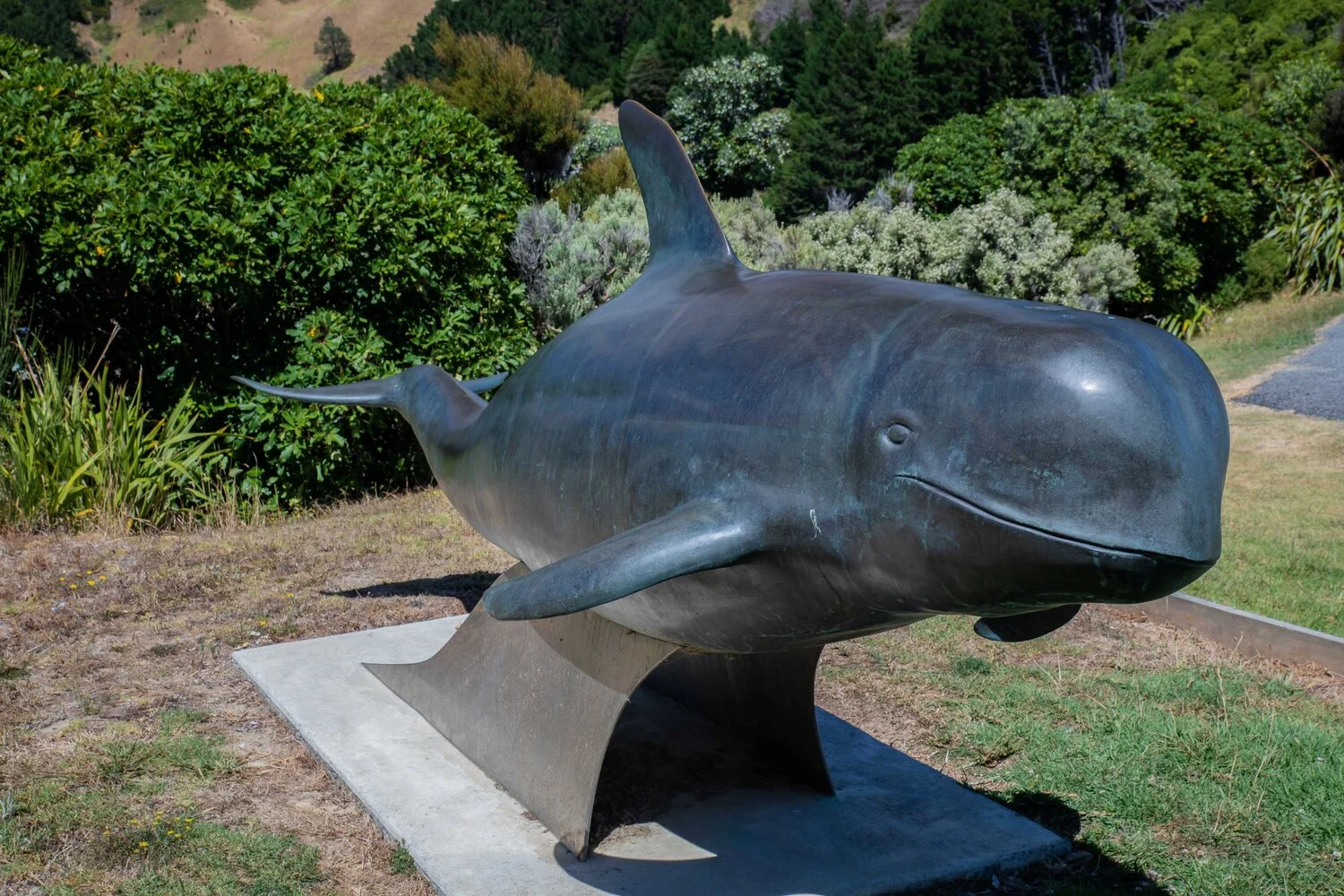 French Pass,Collinet Pt,-085.JPG