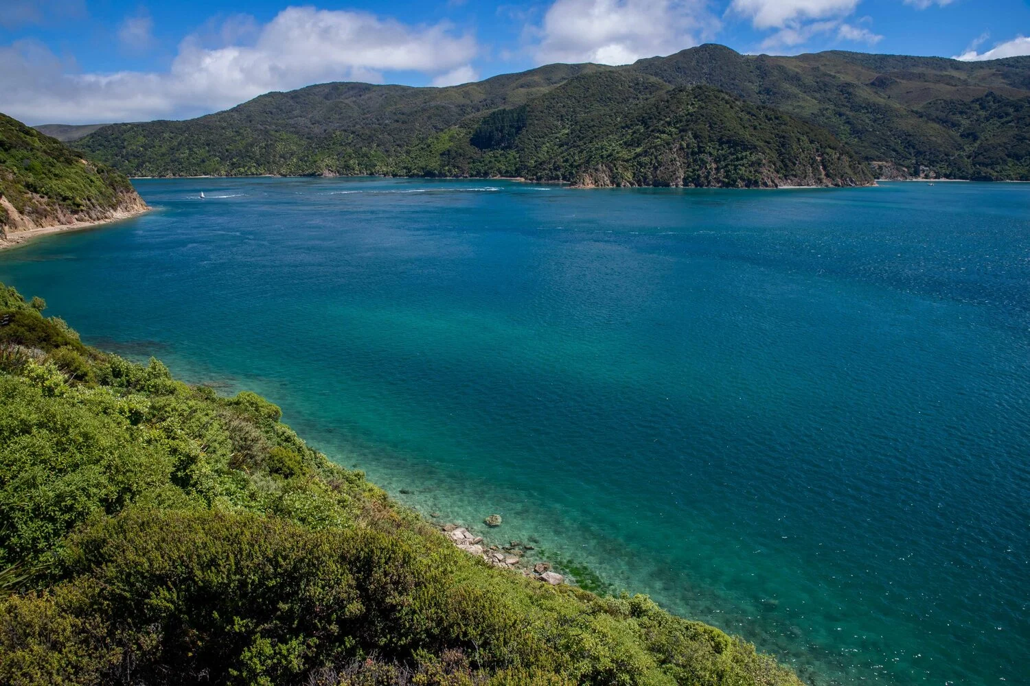 French Pass,D'Urville Is,-077.JPG