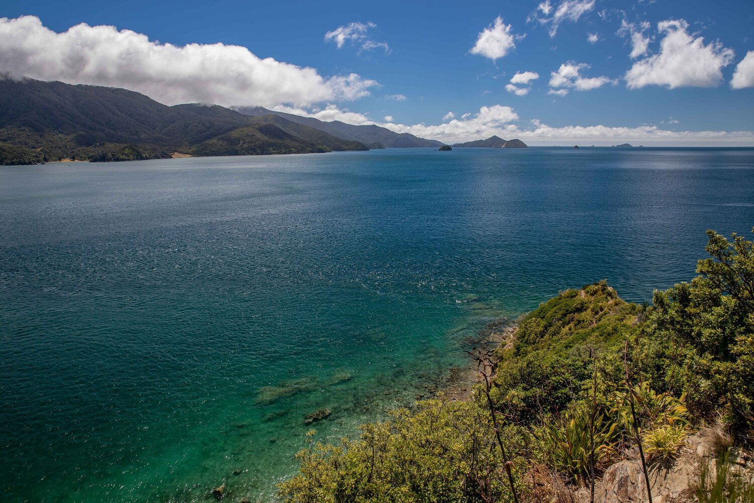 French Pass,D'Urville Is,-082.JPG