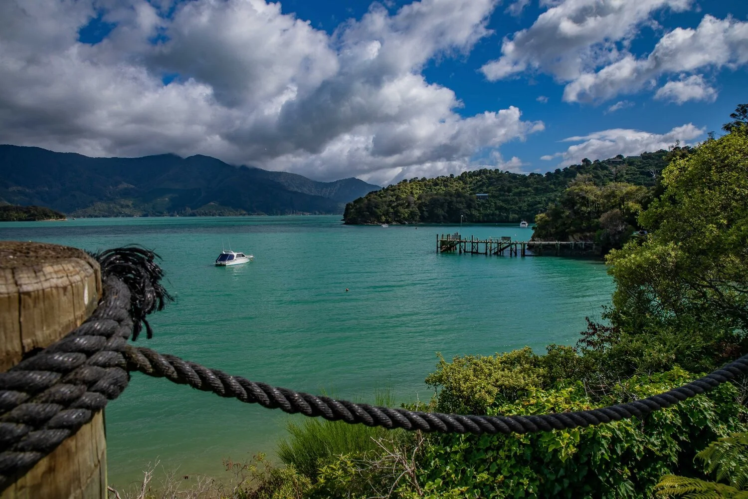 Kenepuru Sound,-087.JPG