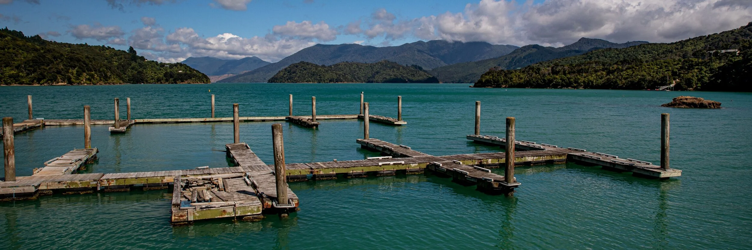 Kenepuru Sound,-095.JPG