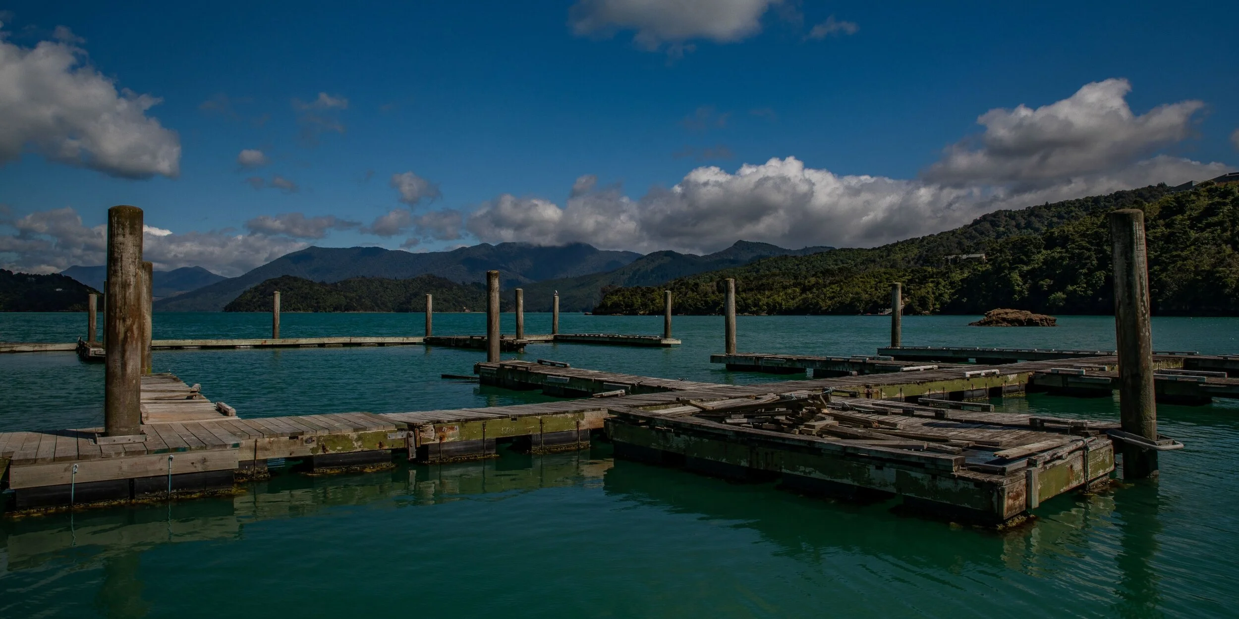 Kenepuru Sound,-096.JPG