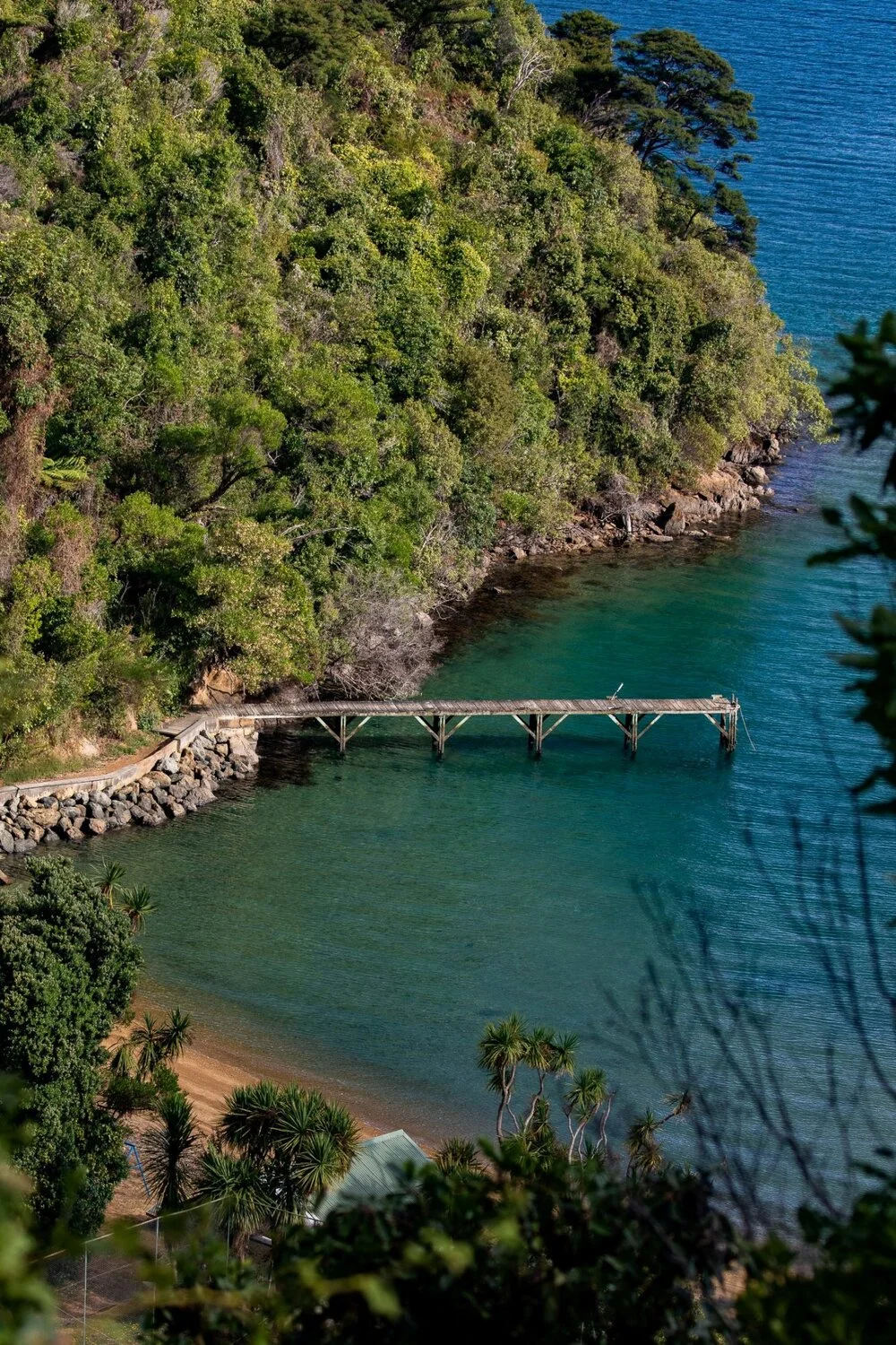 Marlborough Sounds,-011.JPG