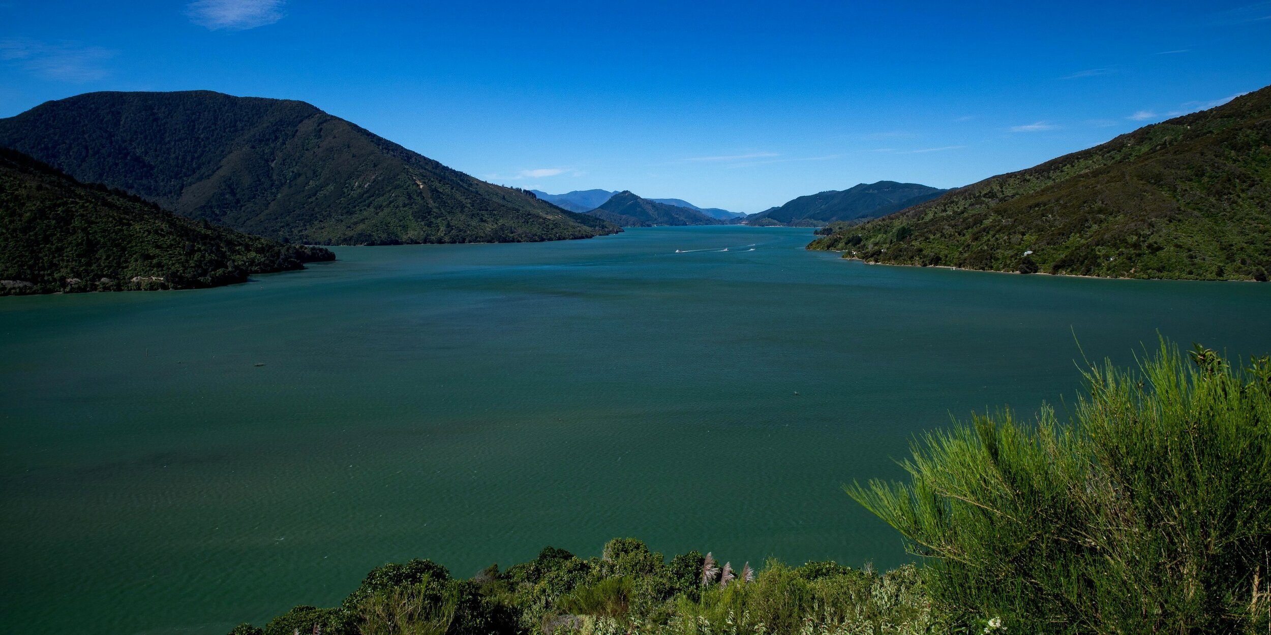 Marlborough Sounds,-012.JPG