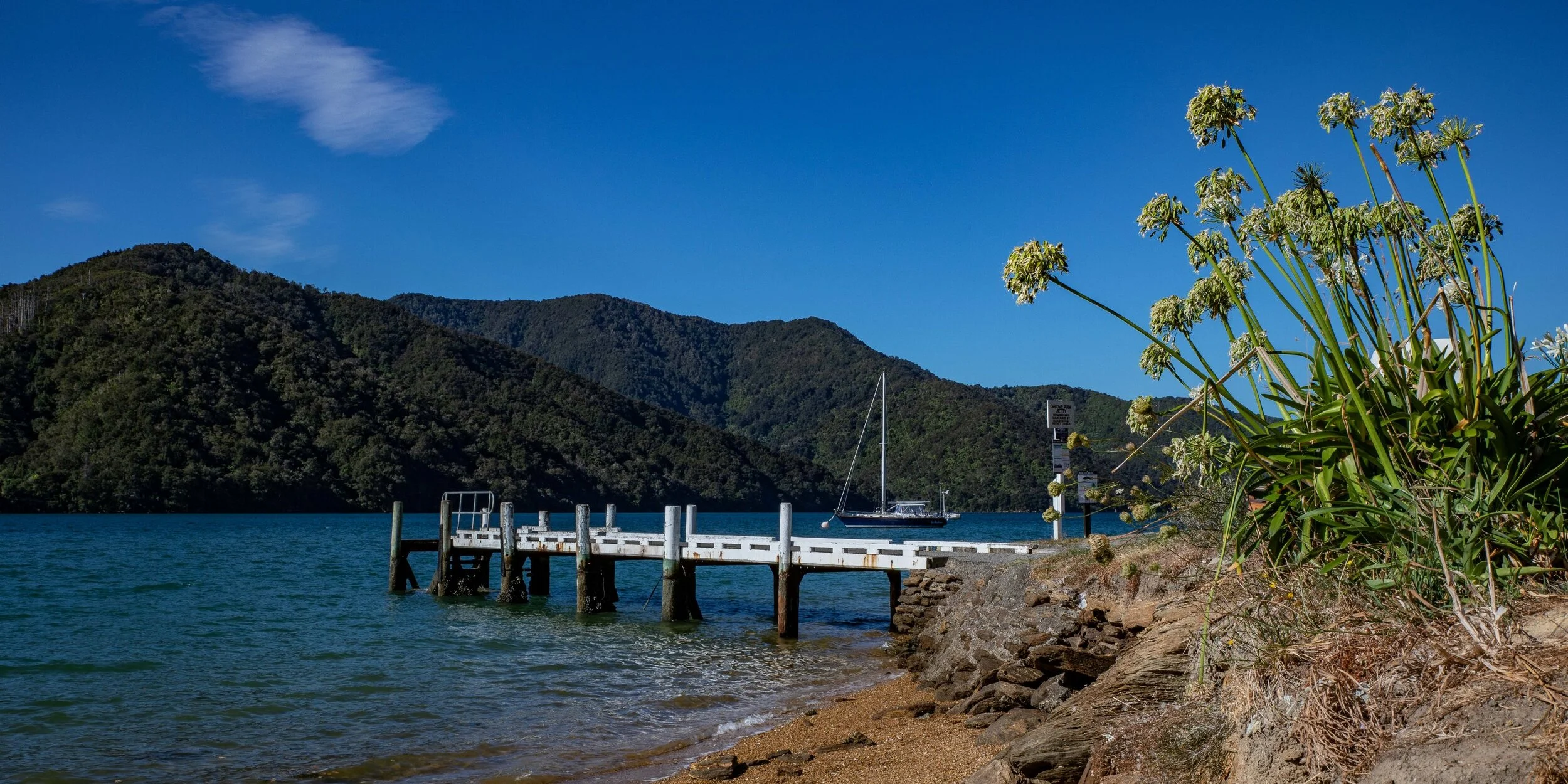 Marlborough Sounds,-022.JPG